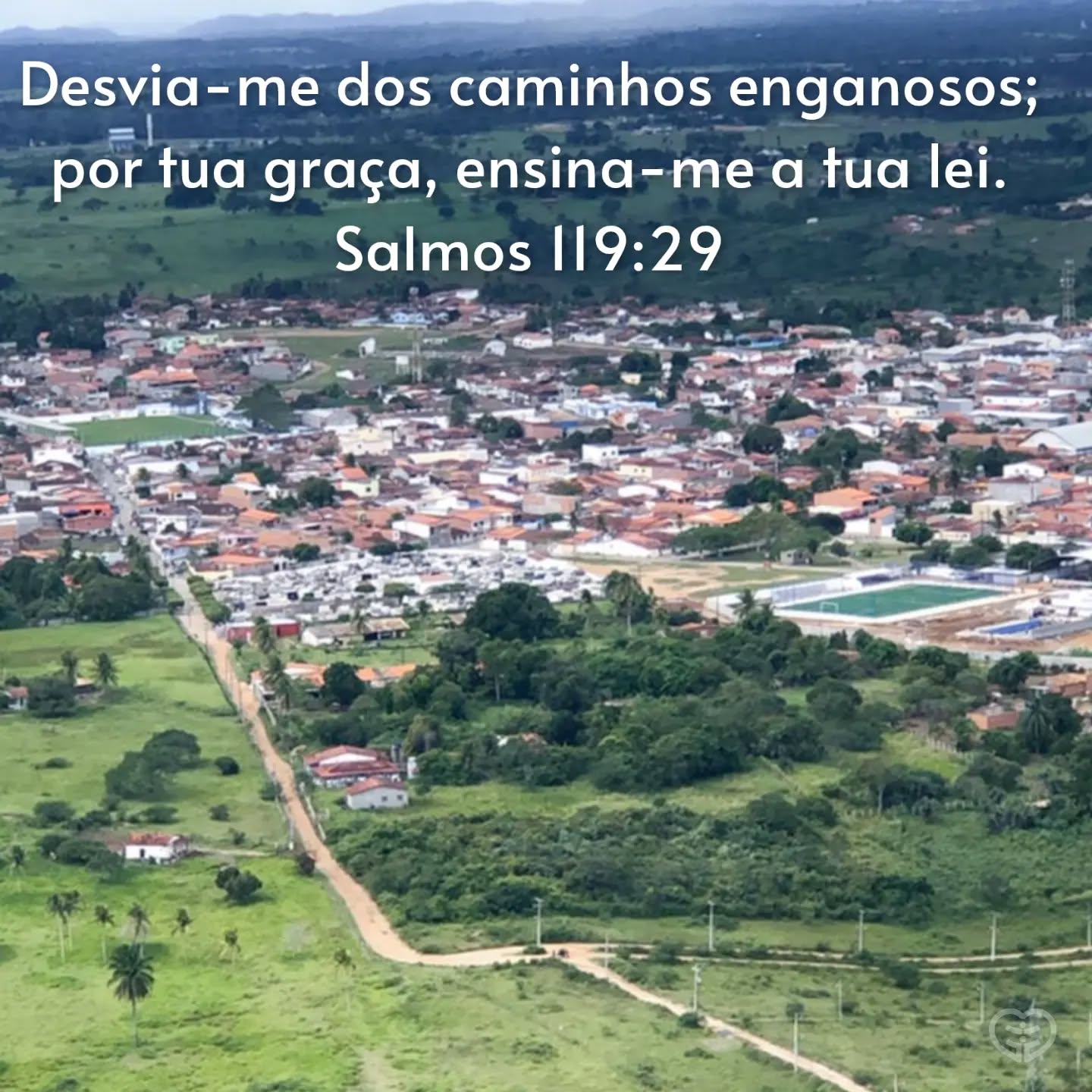 Salmos 119:29