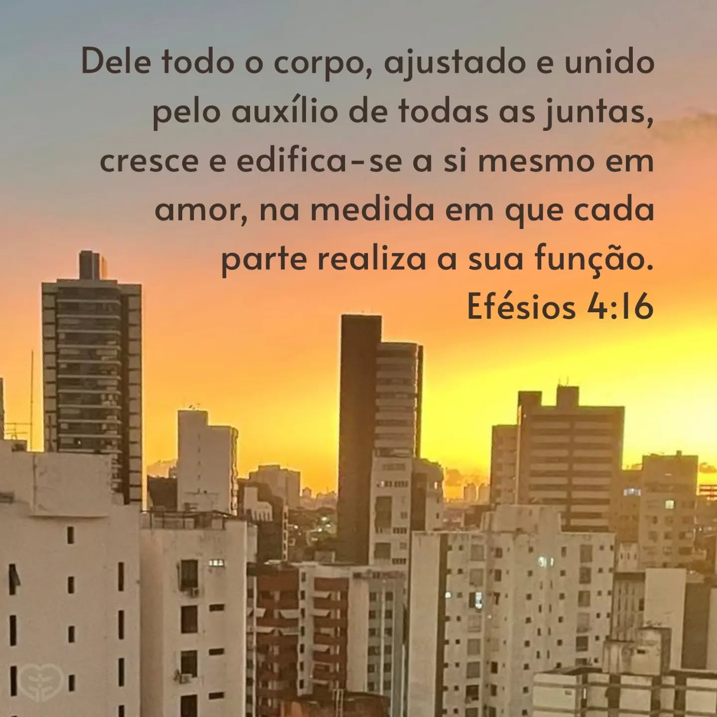 Efésios 4:16
