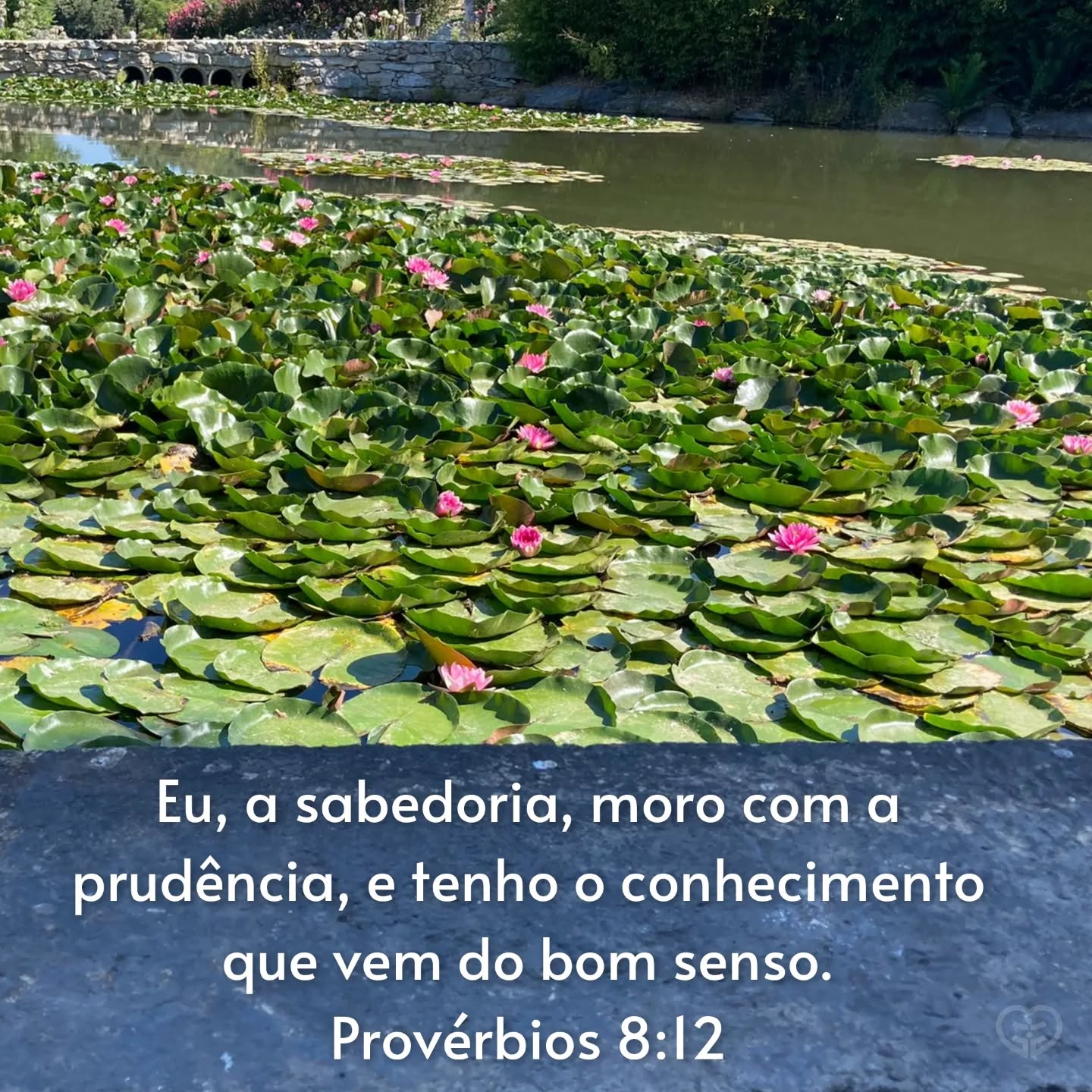 Provérbios 8:12
