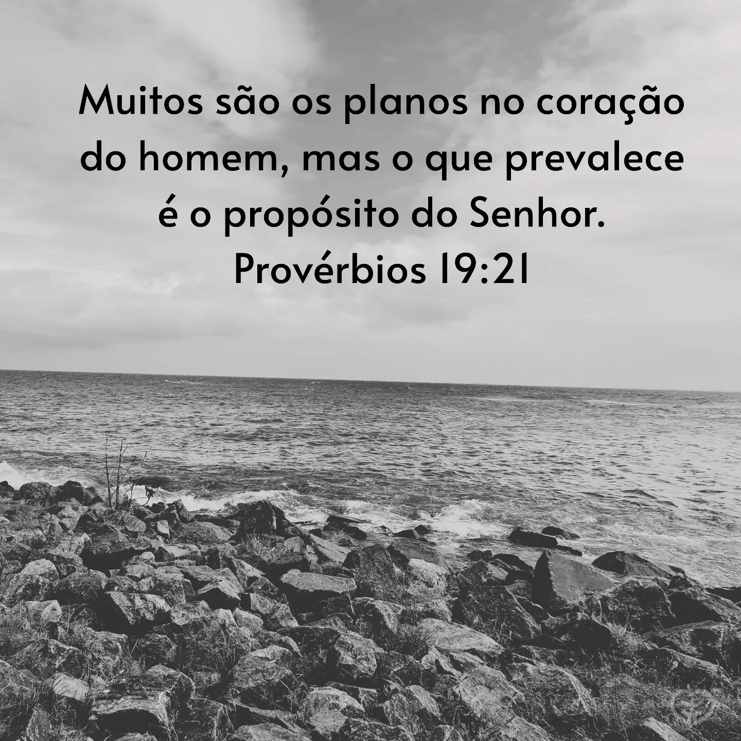 Provérbios 19:21