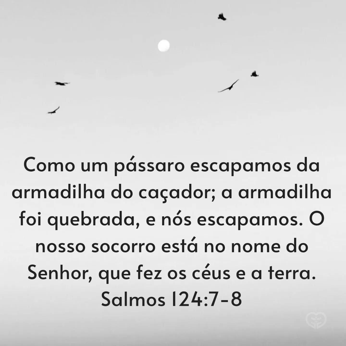 Salmos 124:7-8