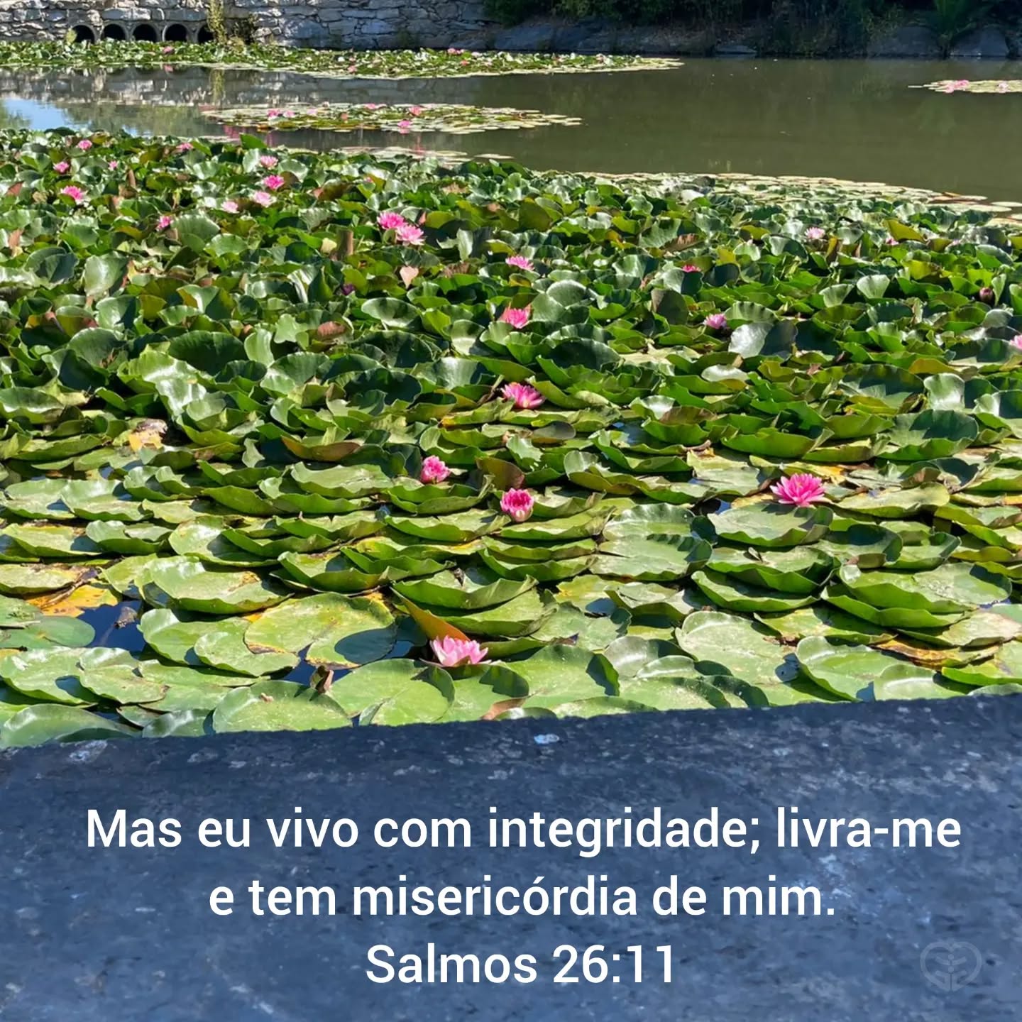 Salmos 26:11