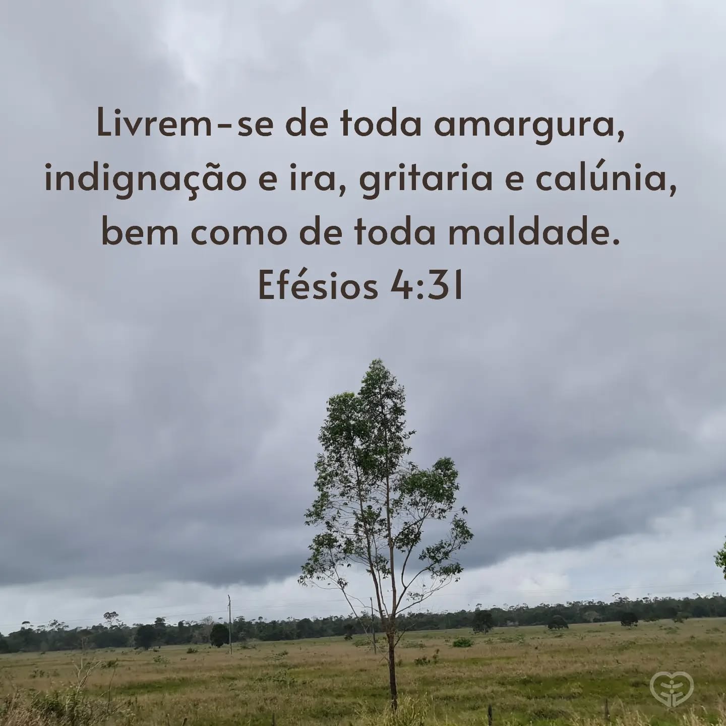 Efésios 4:31