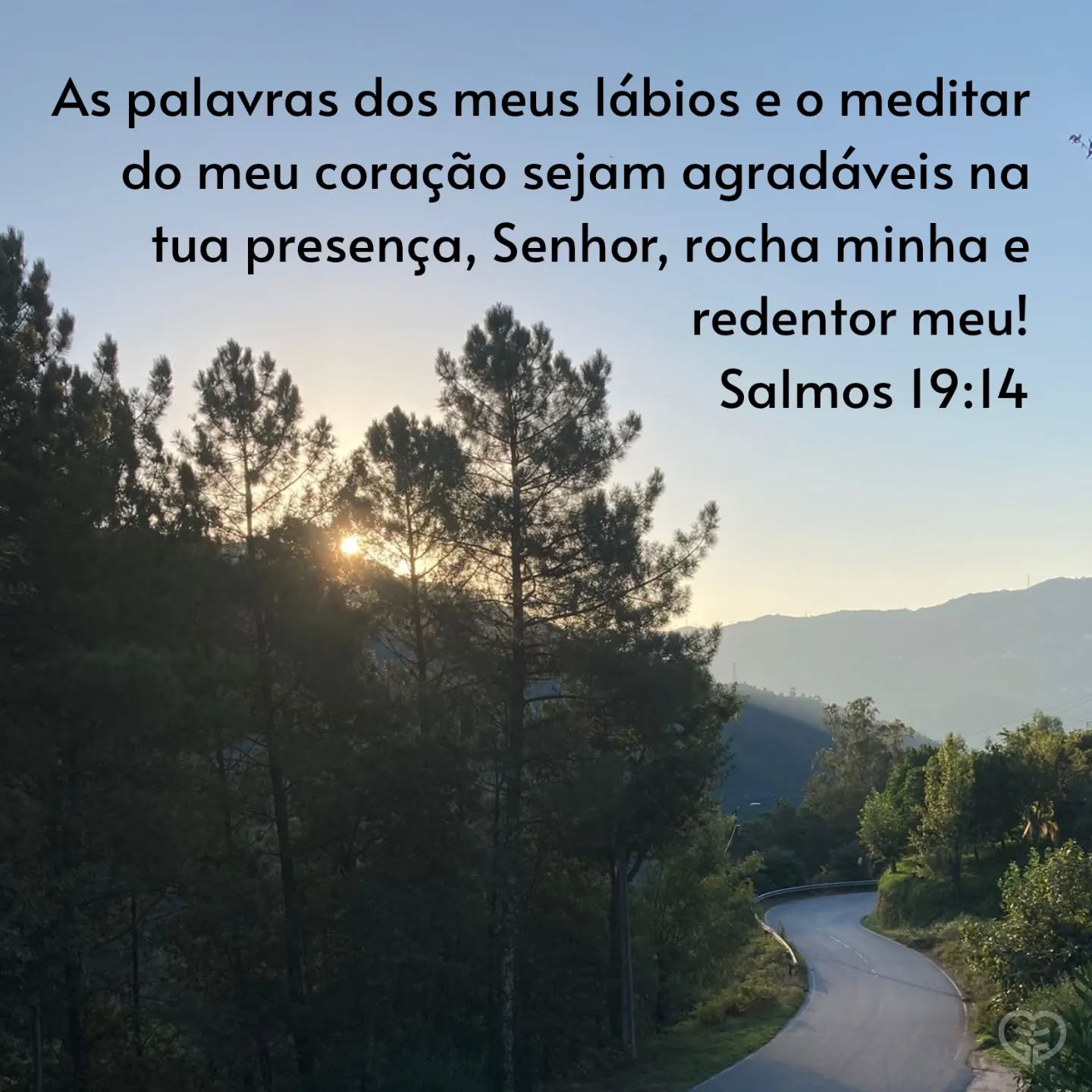Salmos 19:14