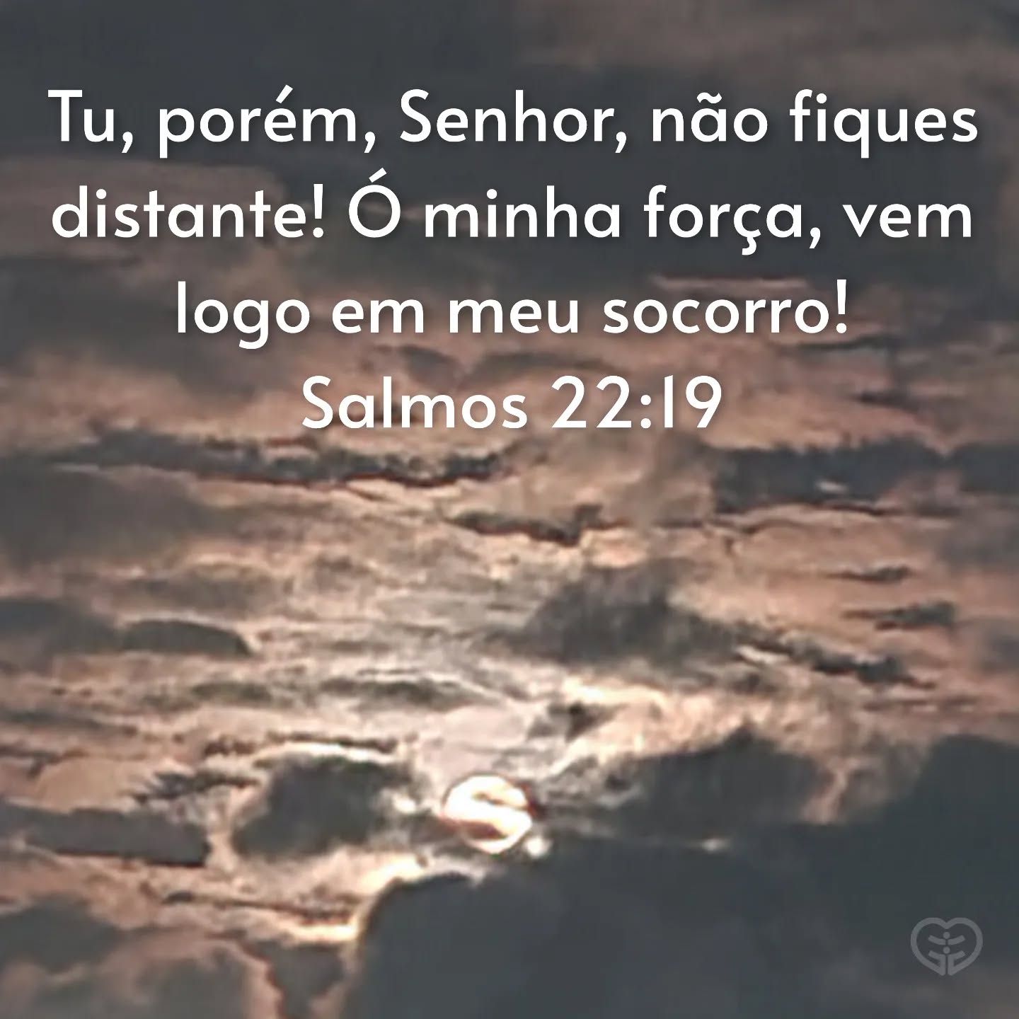Salmos 22:19