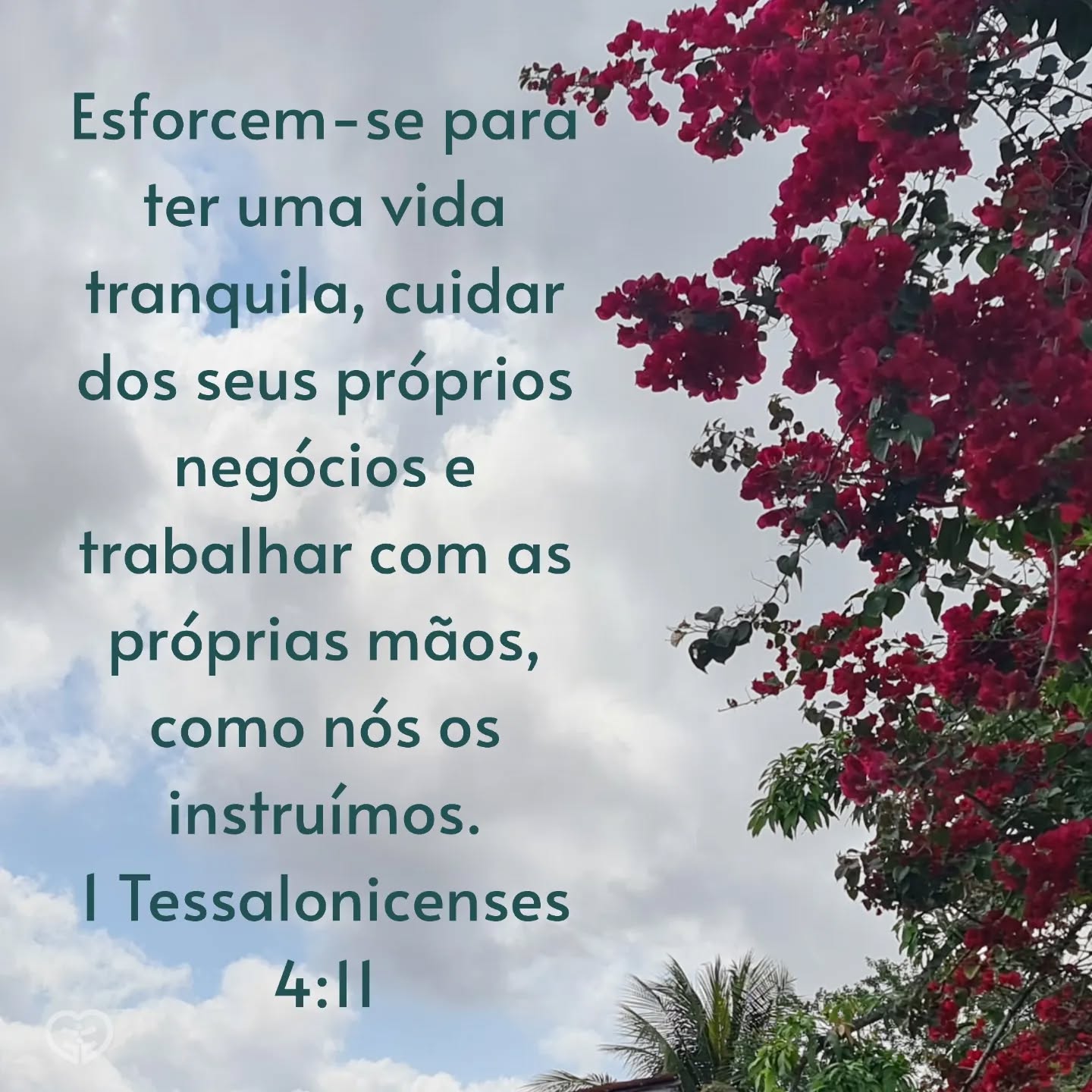 1 Tessalonicenses 4:11