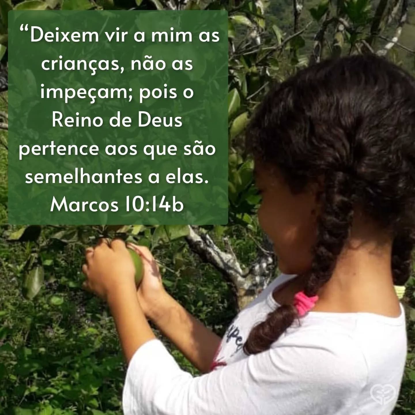 Palavra para 12 de outubro de 2022