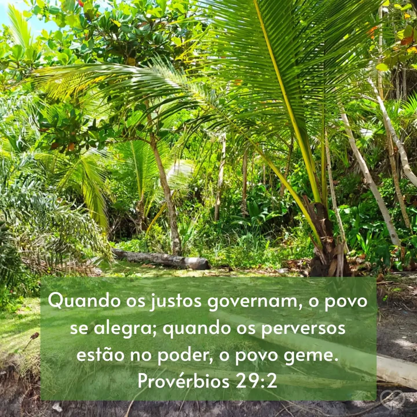 Provérbios 29:2