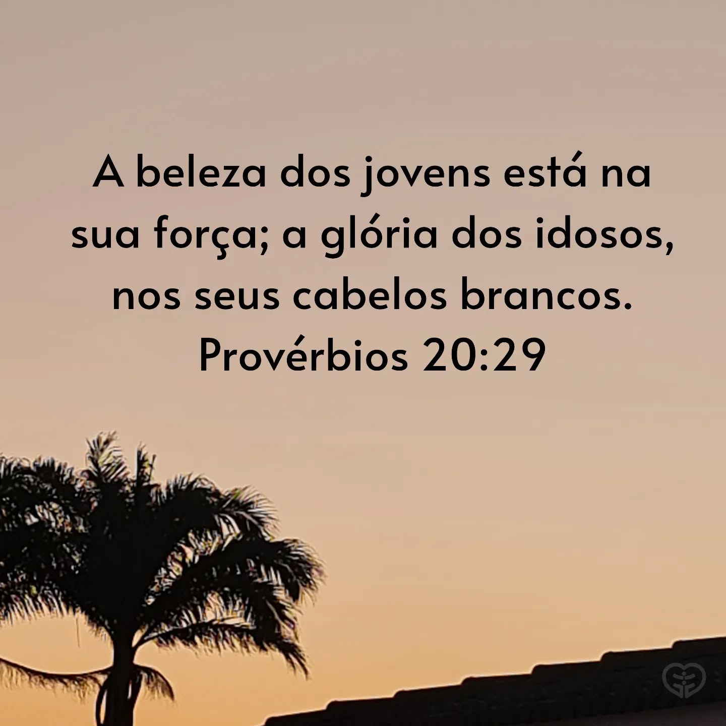 Provérbios 20:29