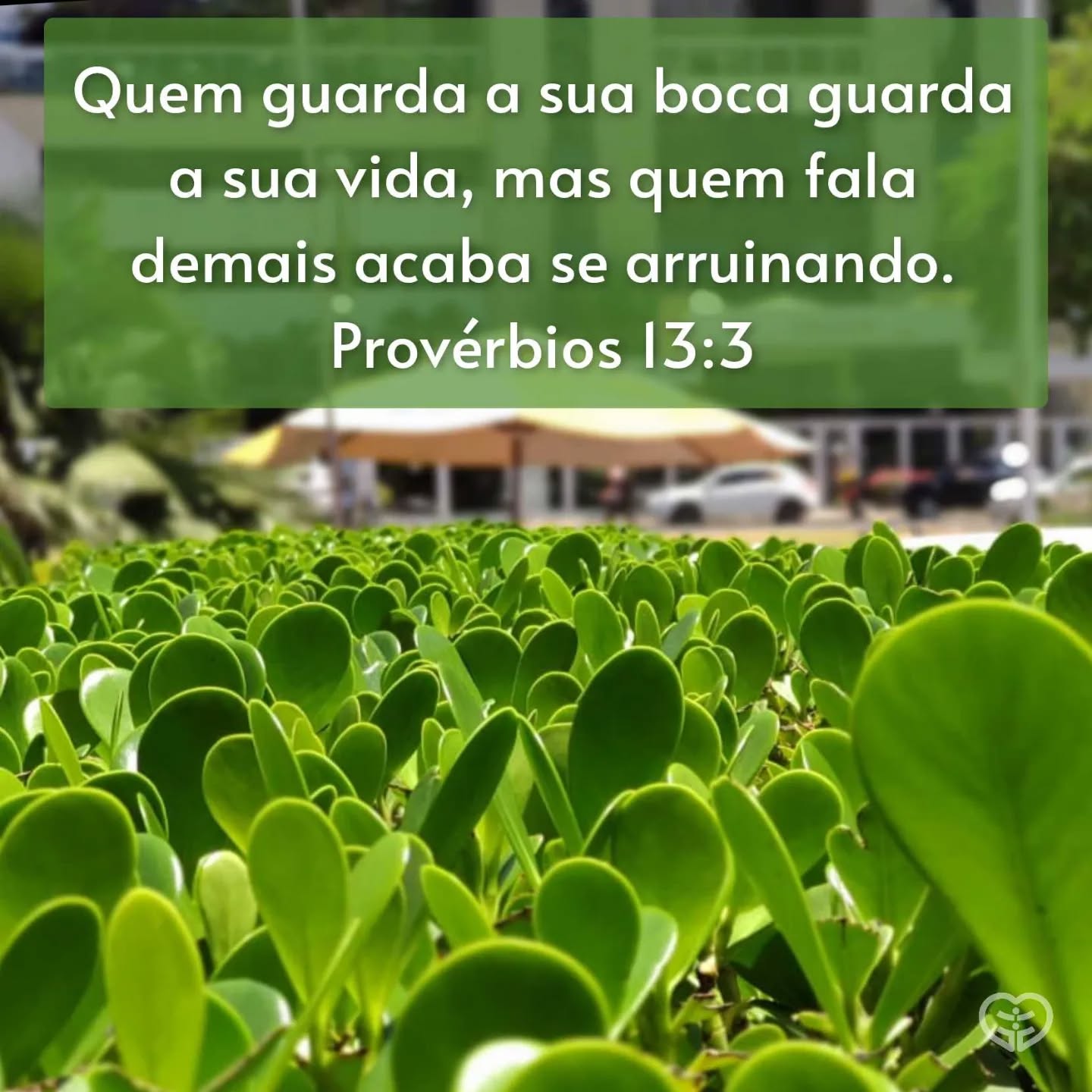 Provérbios 13:3