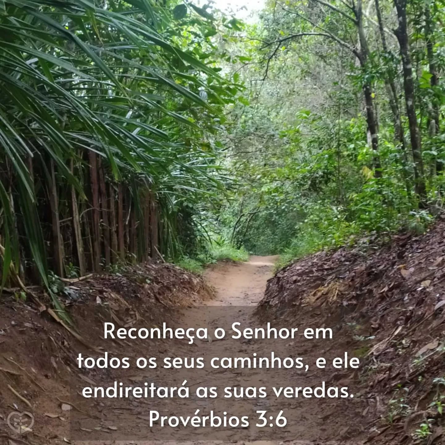 Provérbios 3:6