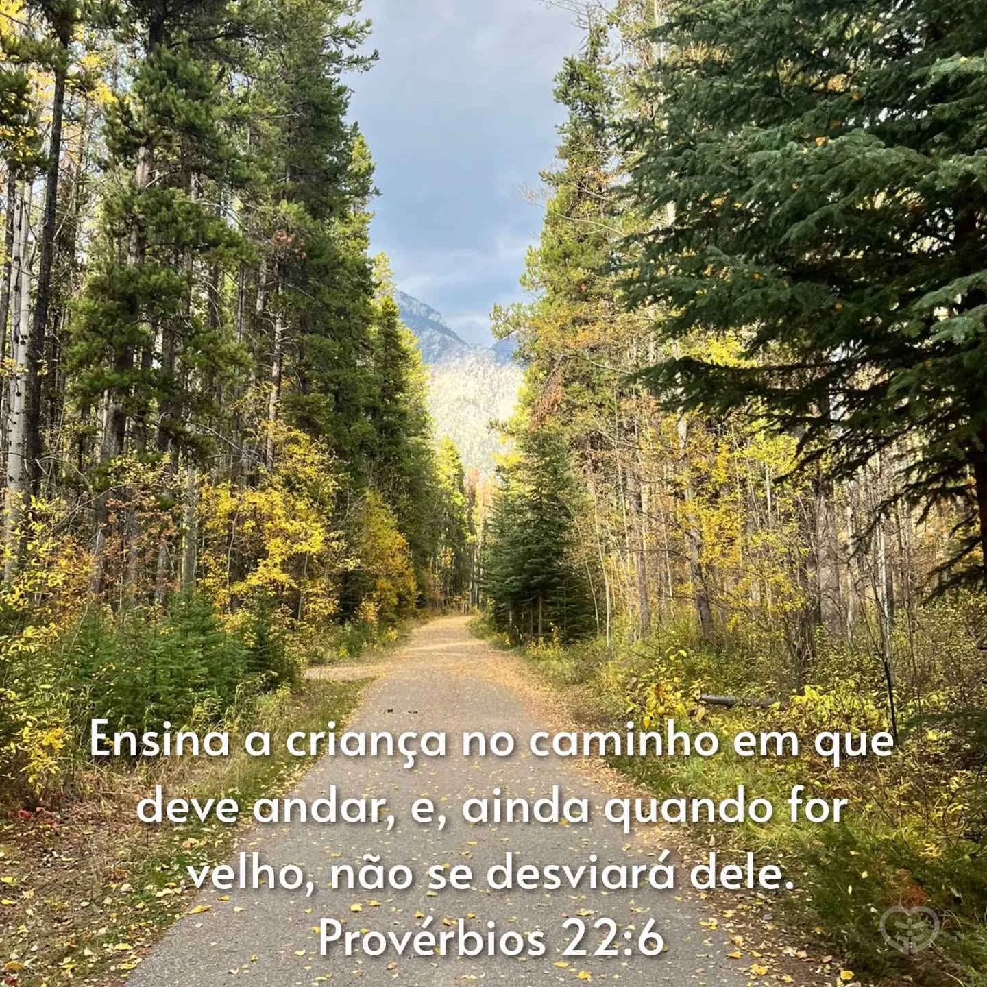 Provérbios 22:6