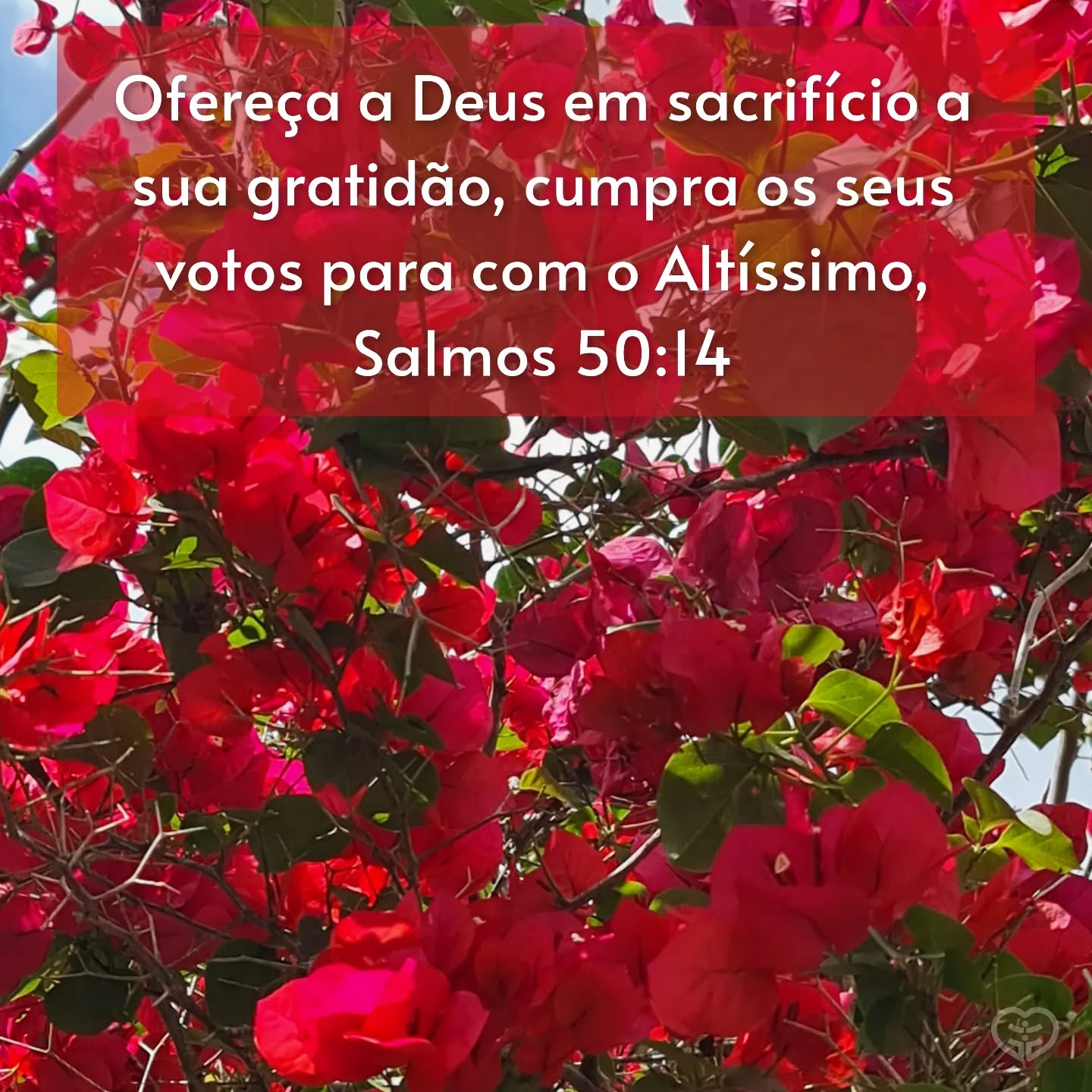Salmos 50:14