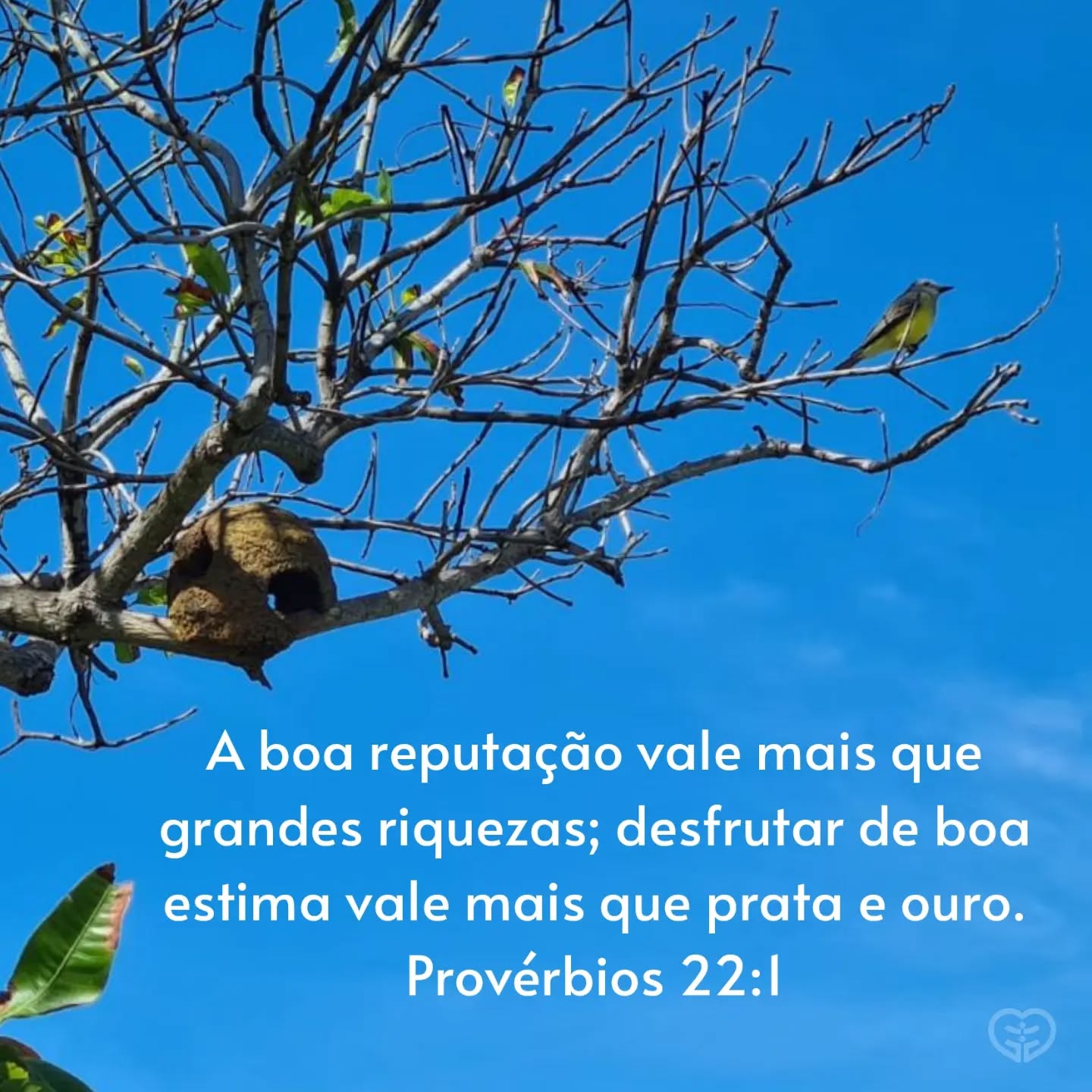 Provérbios 22:1