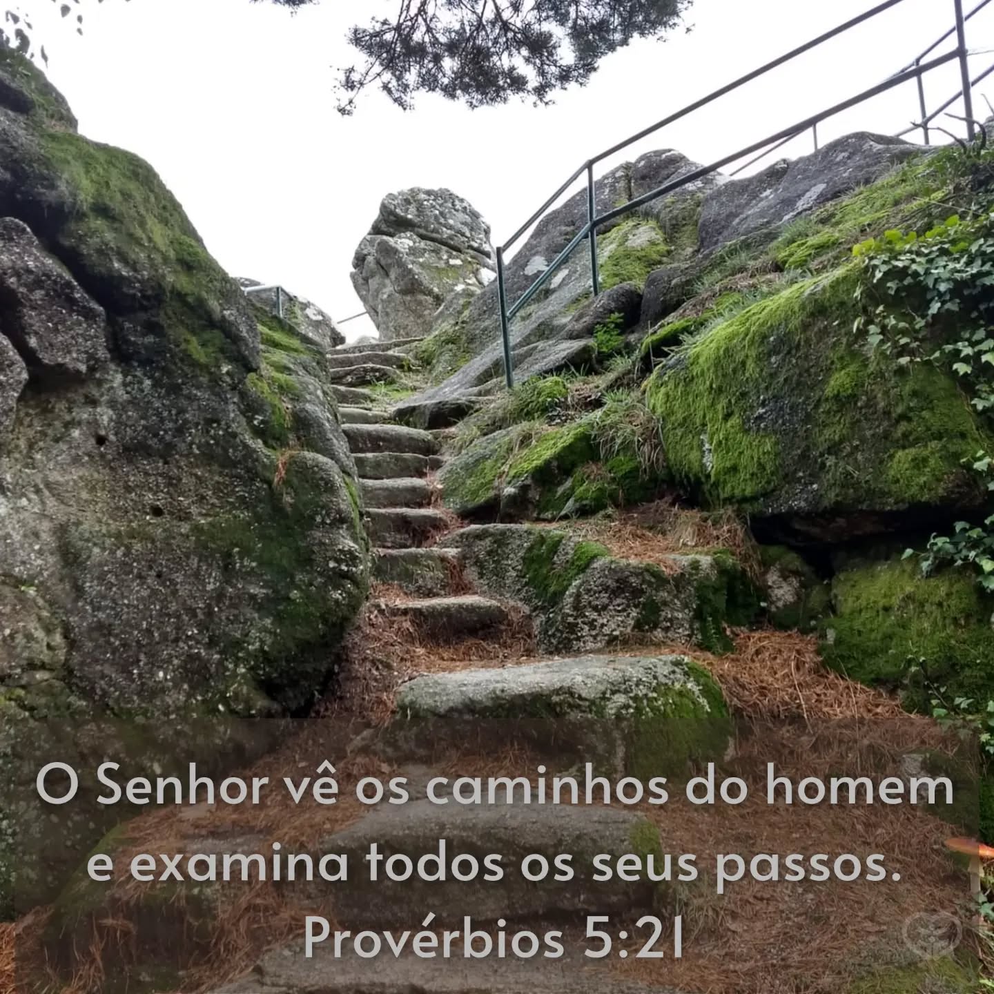 Provérbios 5:21