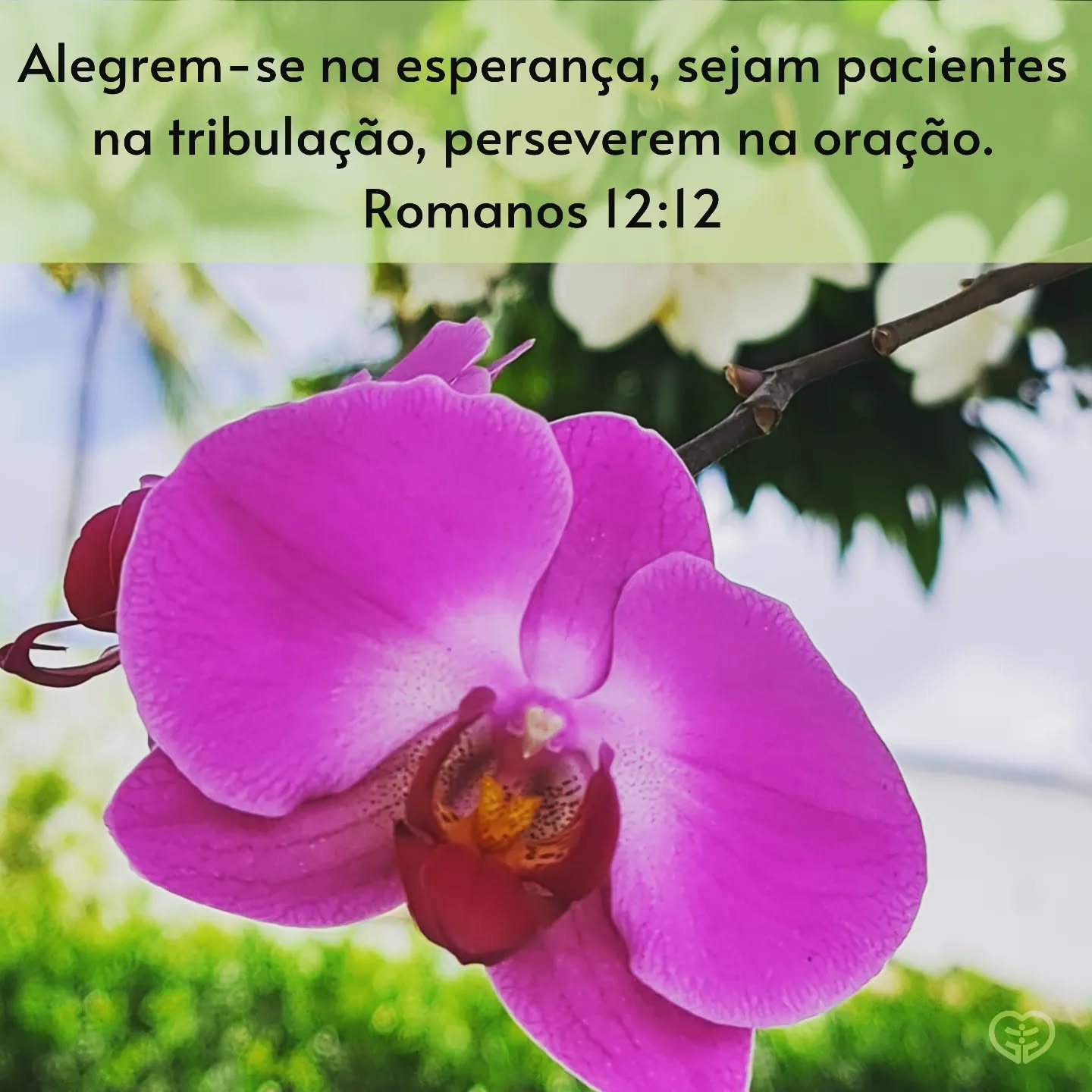 Romanos 12:12