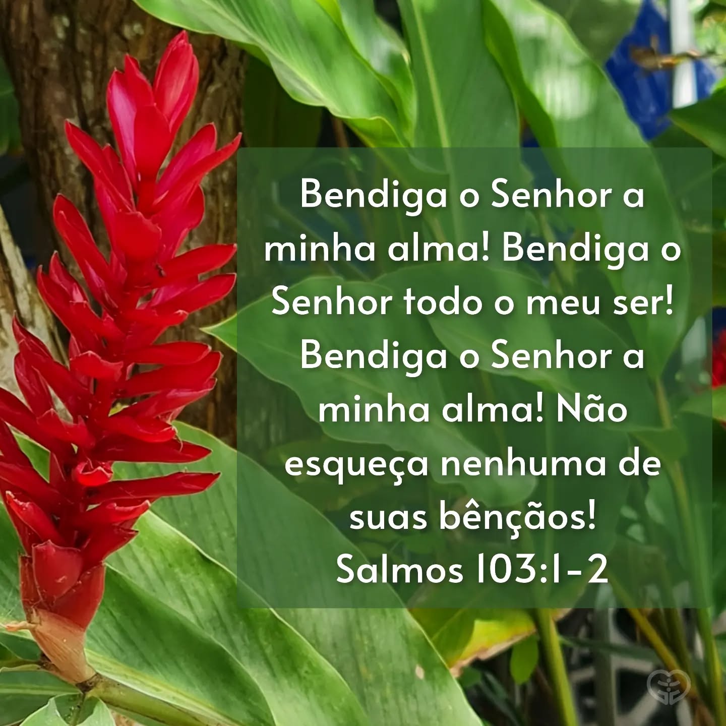 Salmos 103:1-2