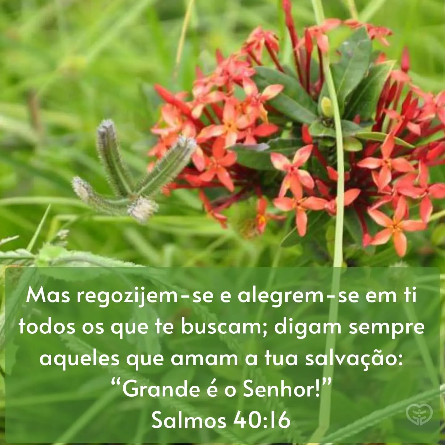 Salmos 40:16