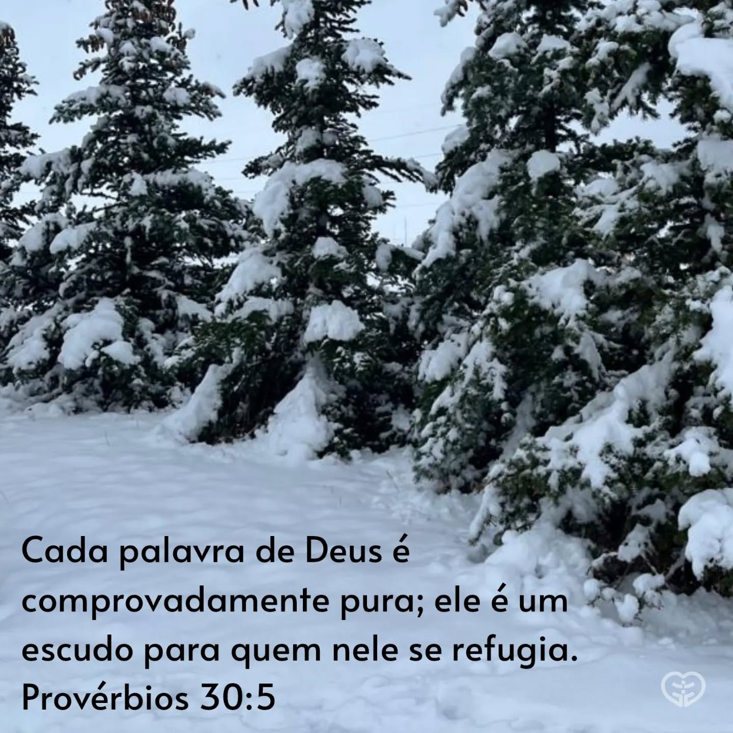 Provérbios 30:5