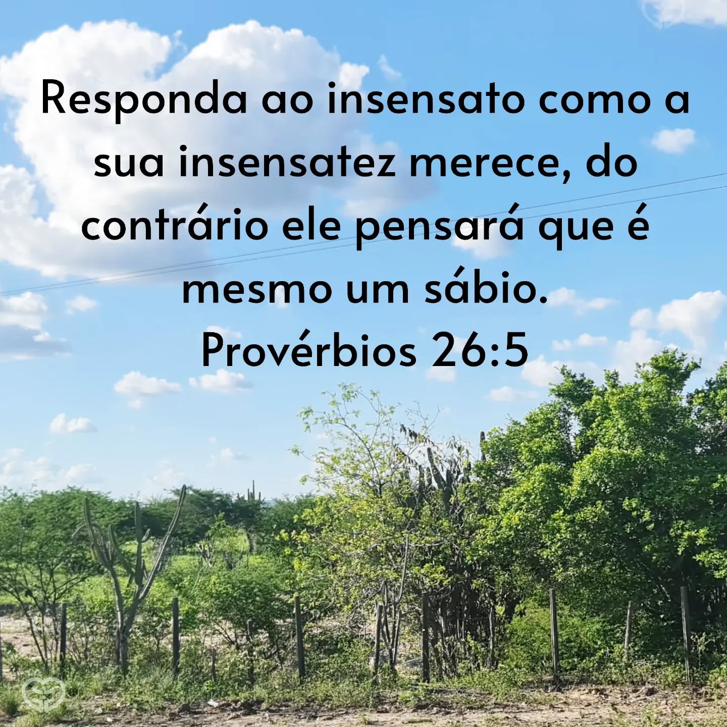 Provérbios 26:5