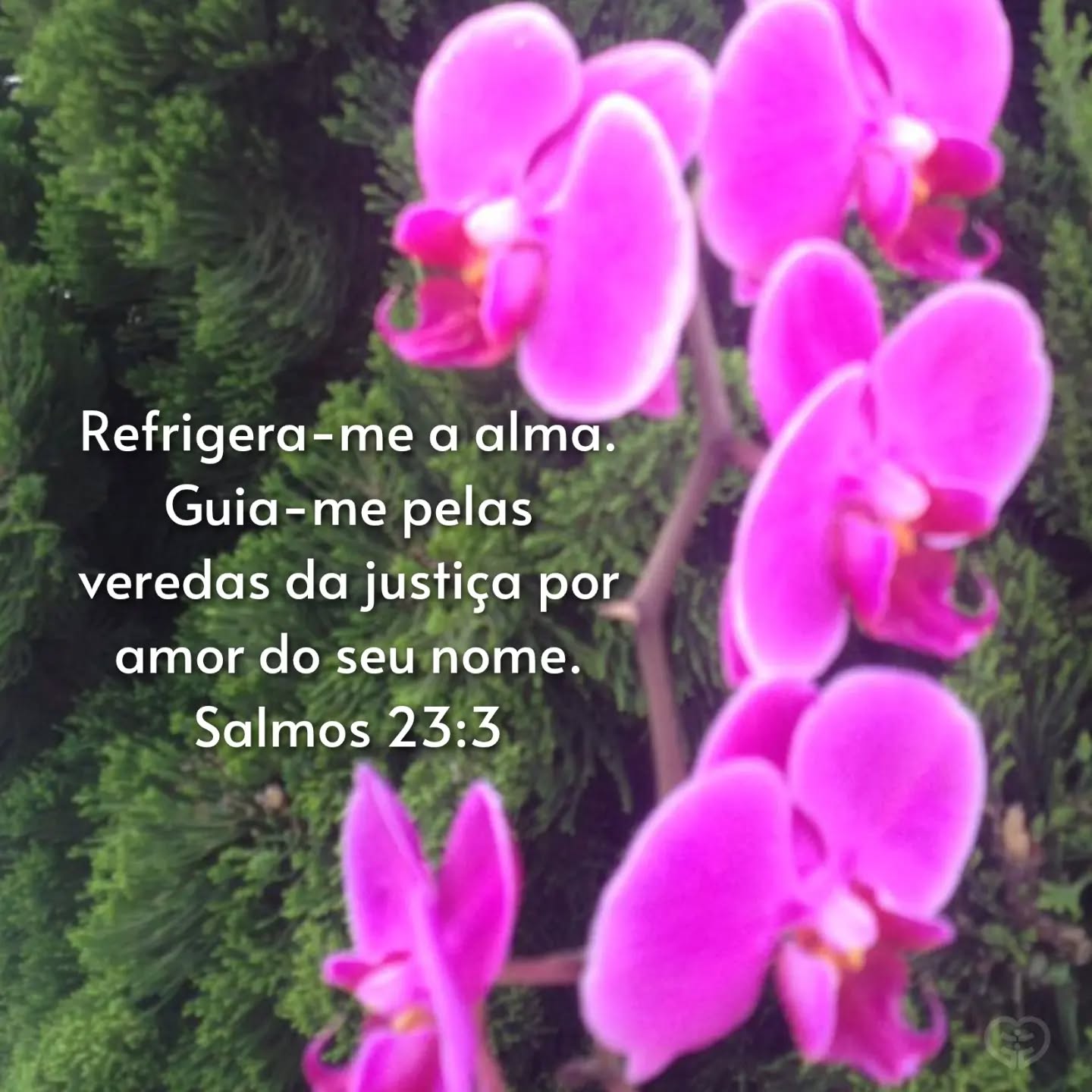 Salmos 23:3