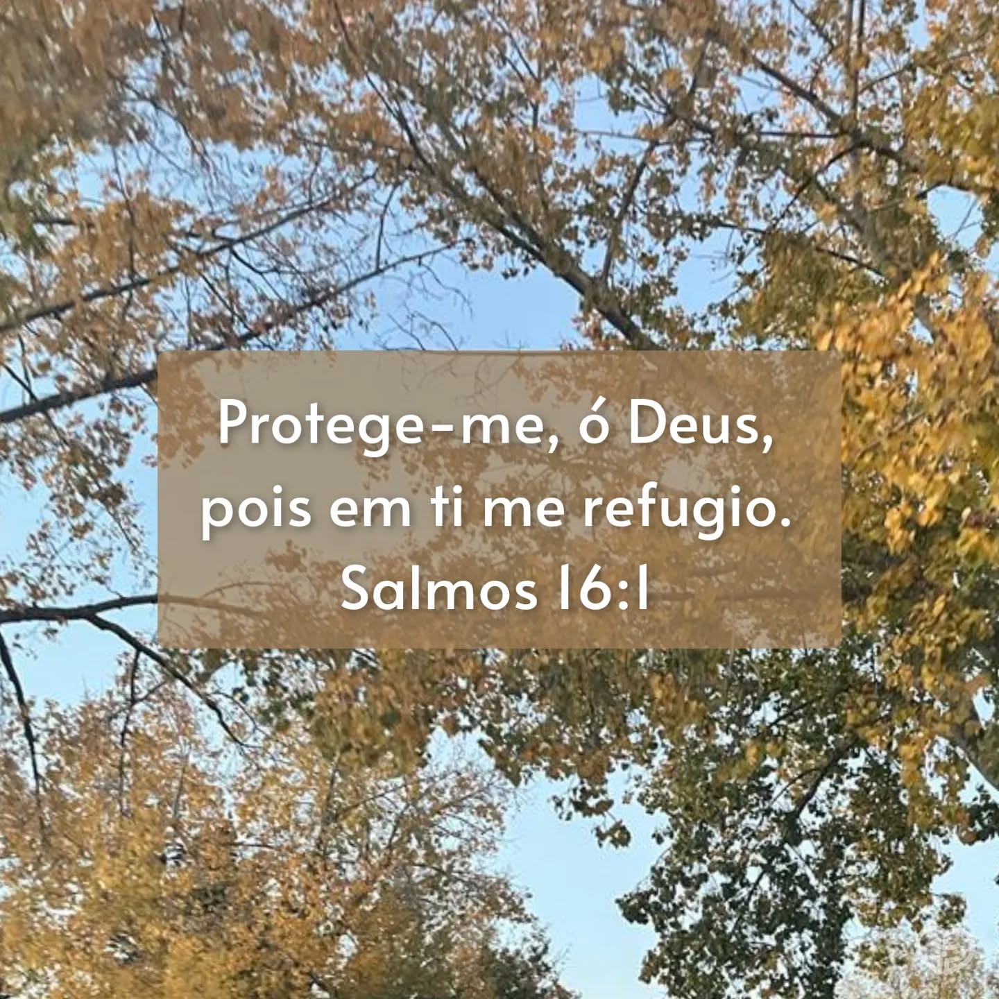 Salmos 16:1