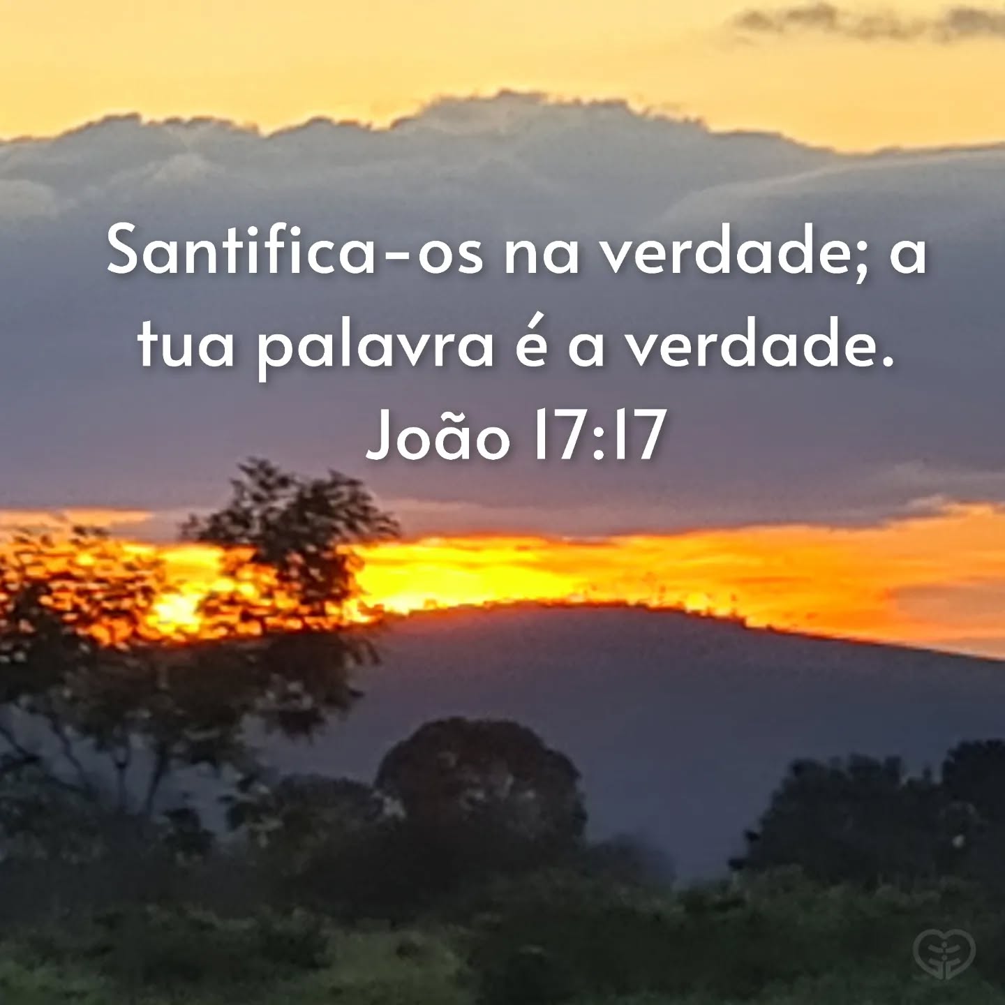 João 17:17