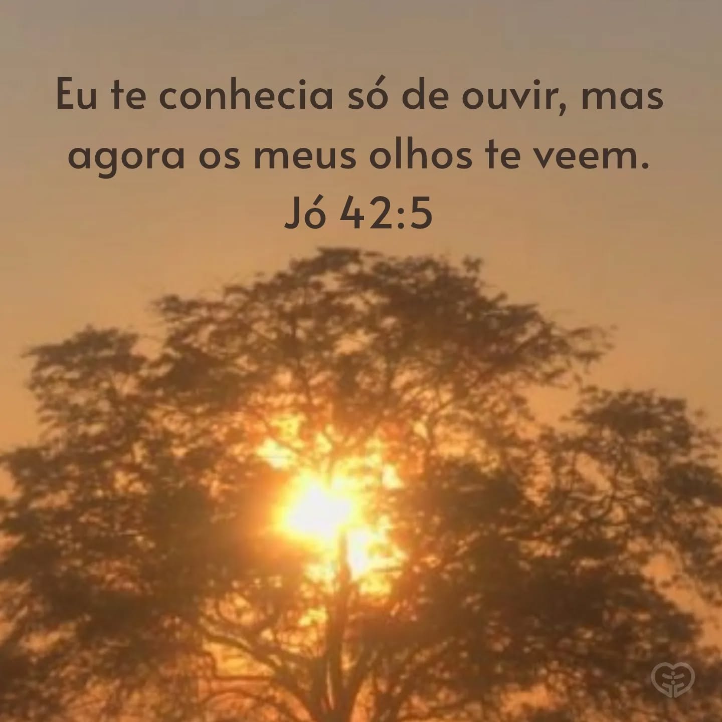 Jó 42:5