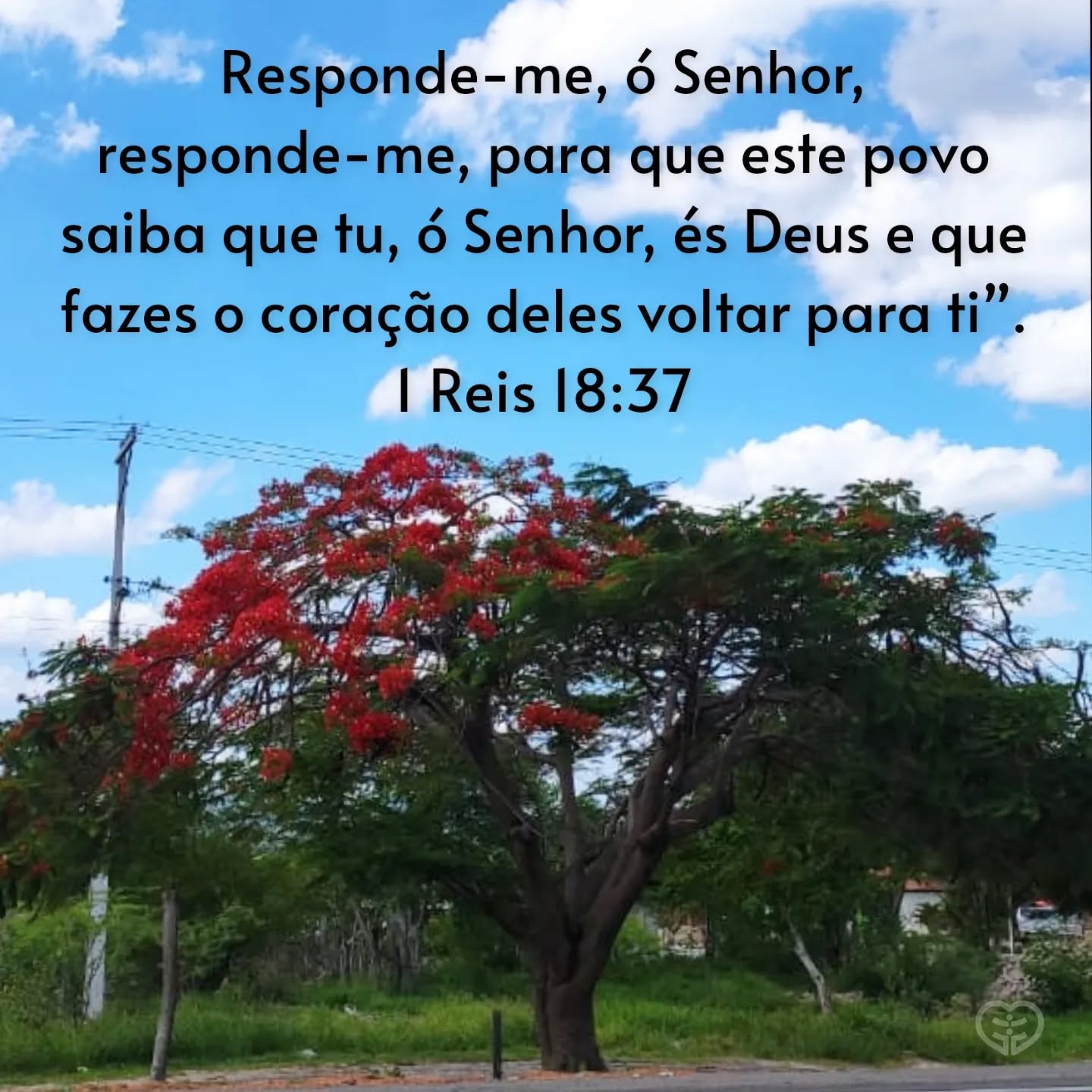 1 Reis 18:37