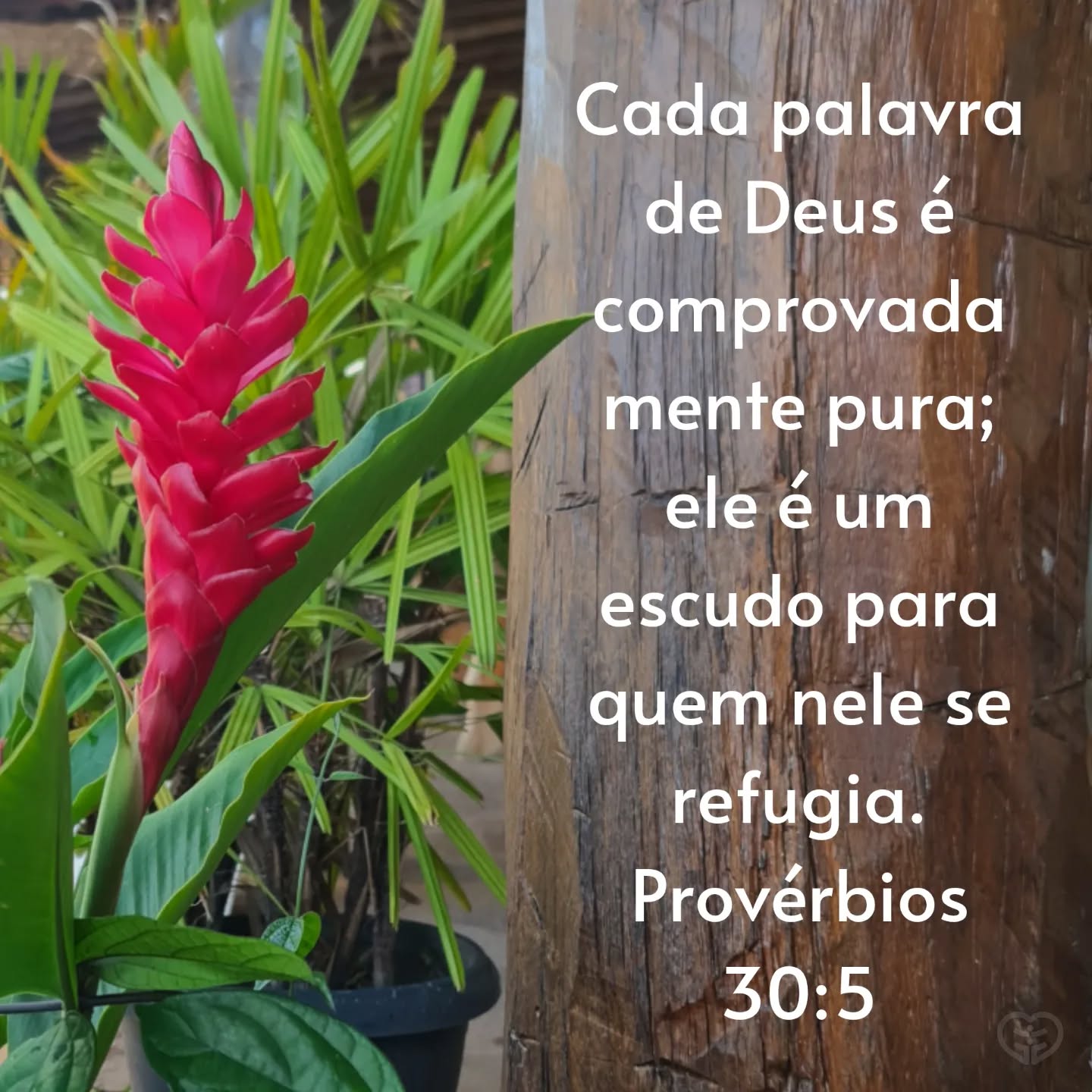 Provérbios 30:5
