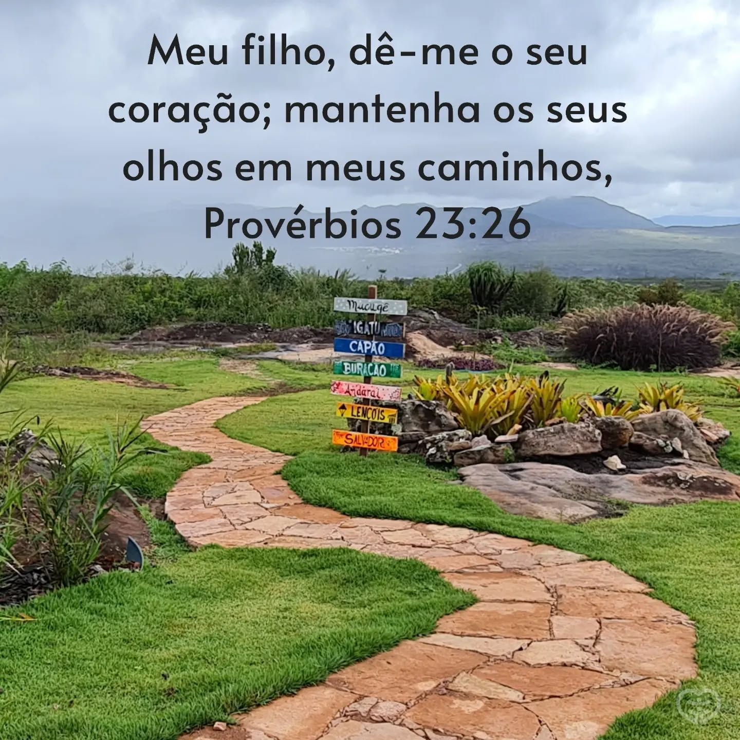 Provérbios 23:26