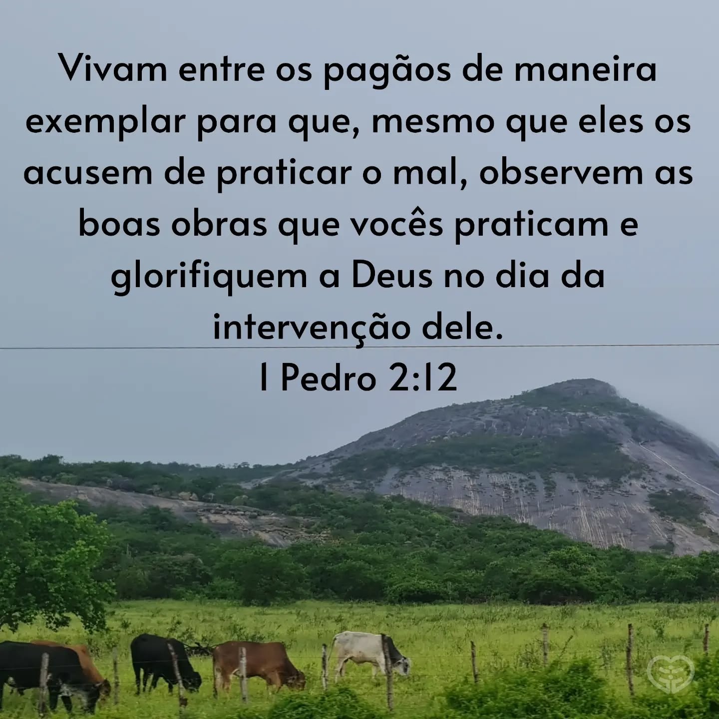 1 Pedro 2:12