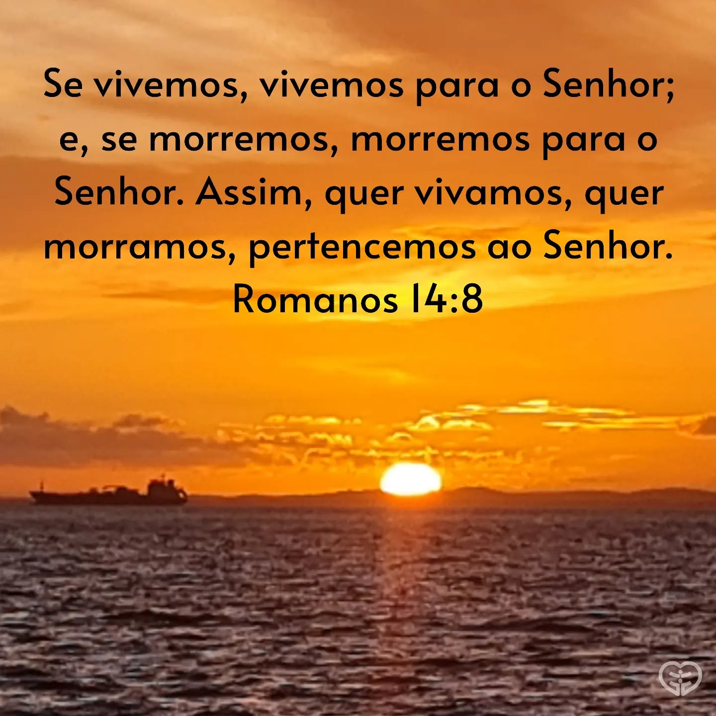 Romanos 14:8