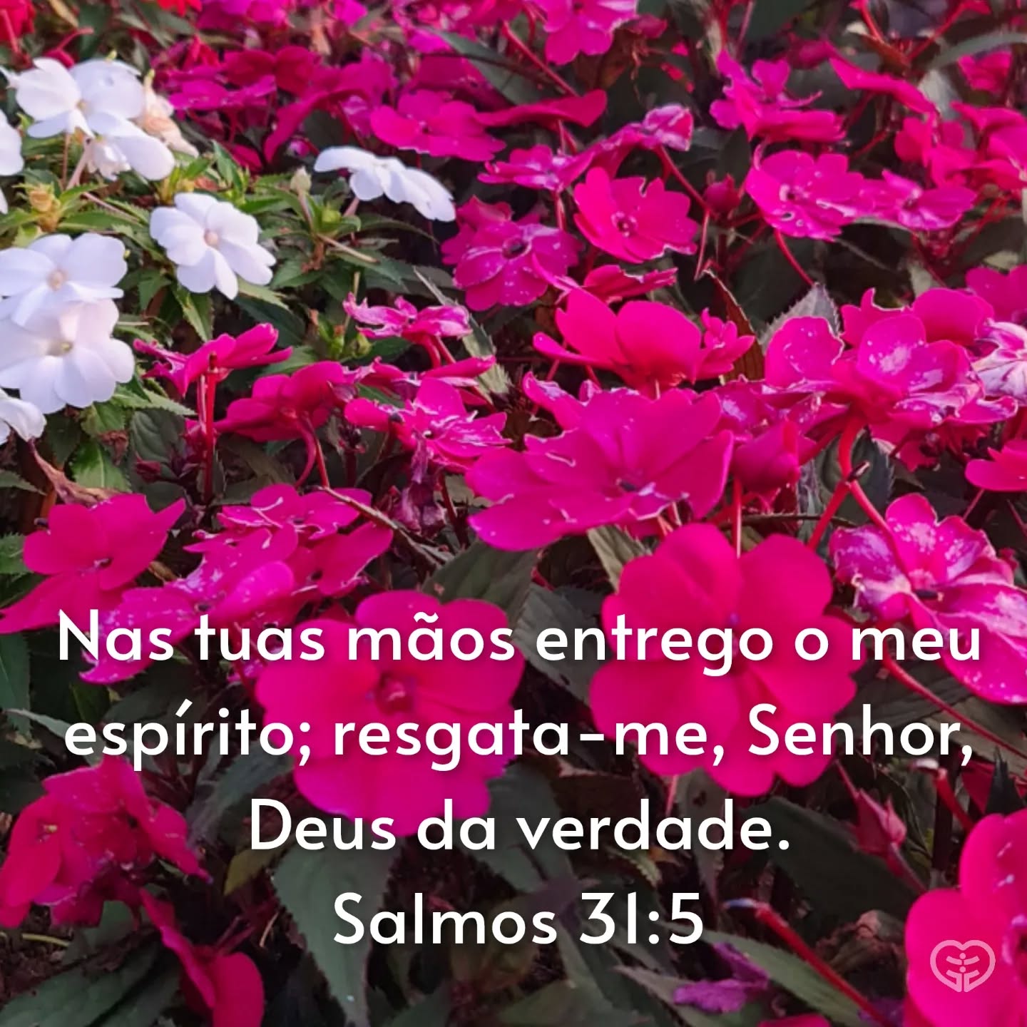 Salmos 31:5