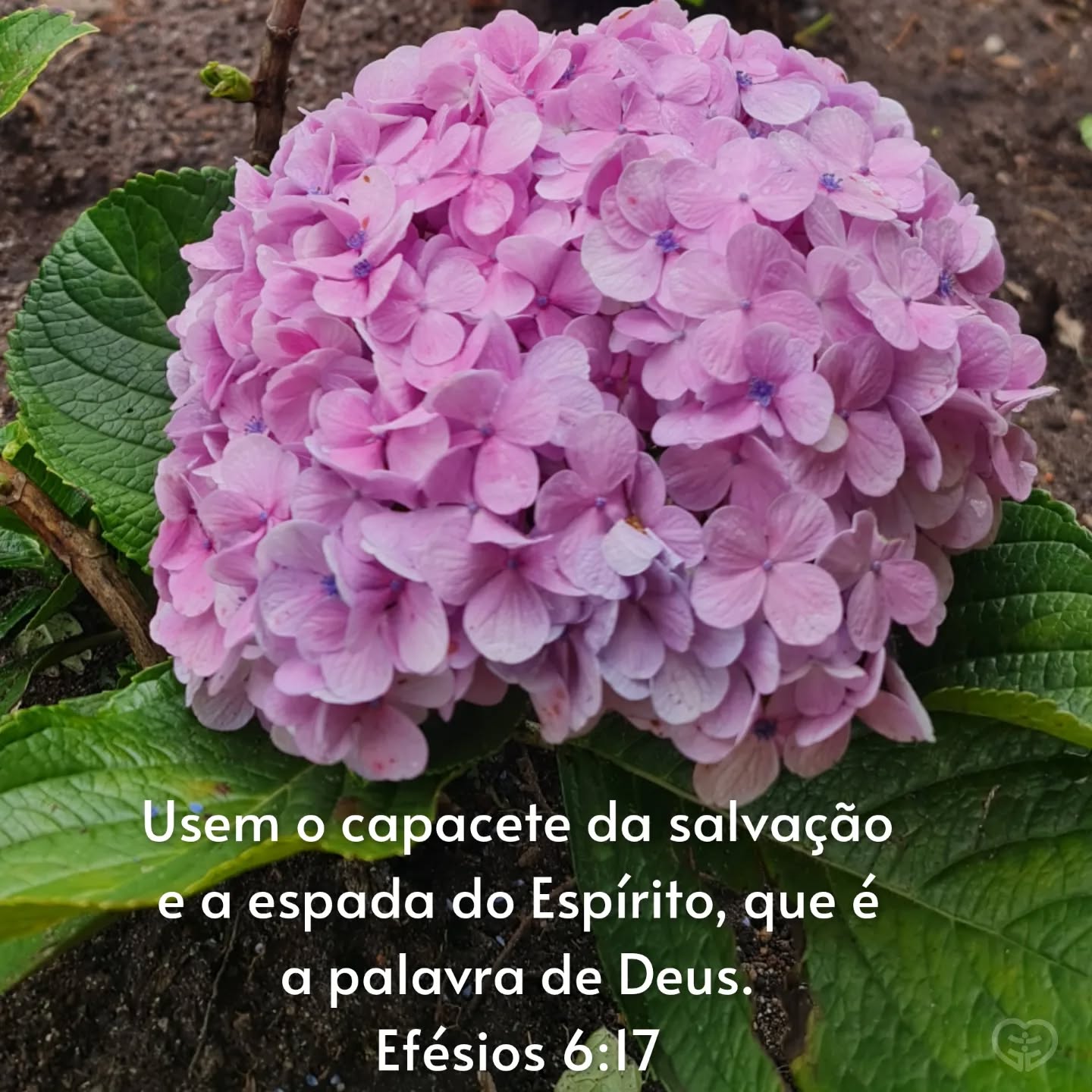 Efésios 6:17