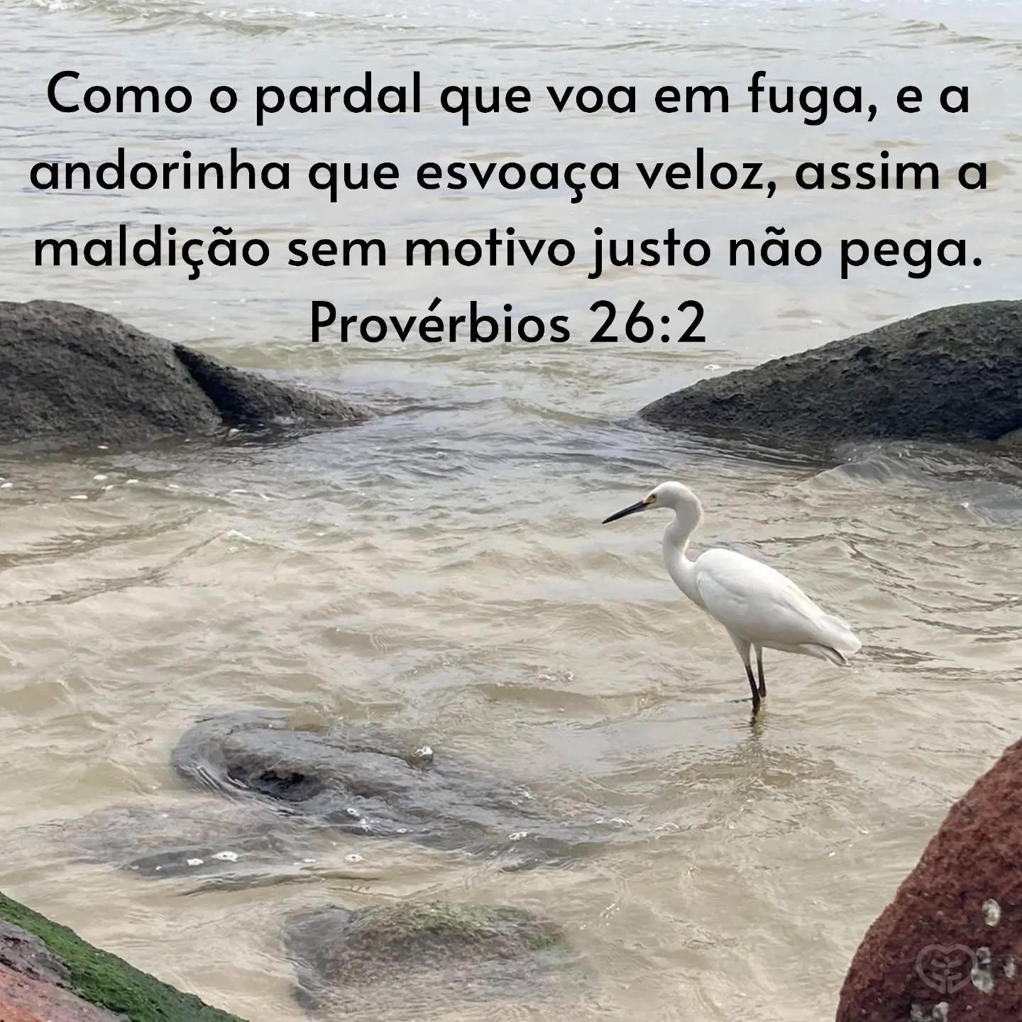 Provérbios 26:2