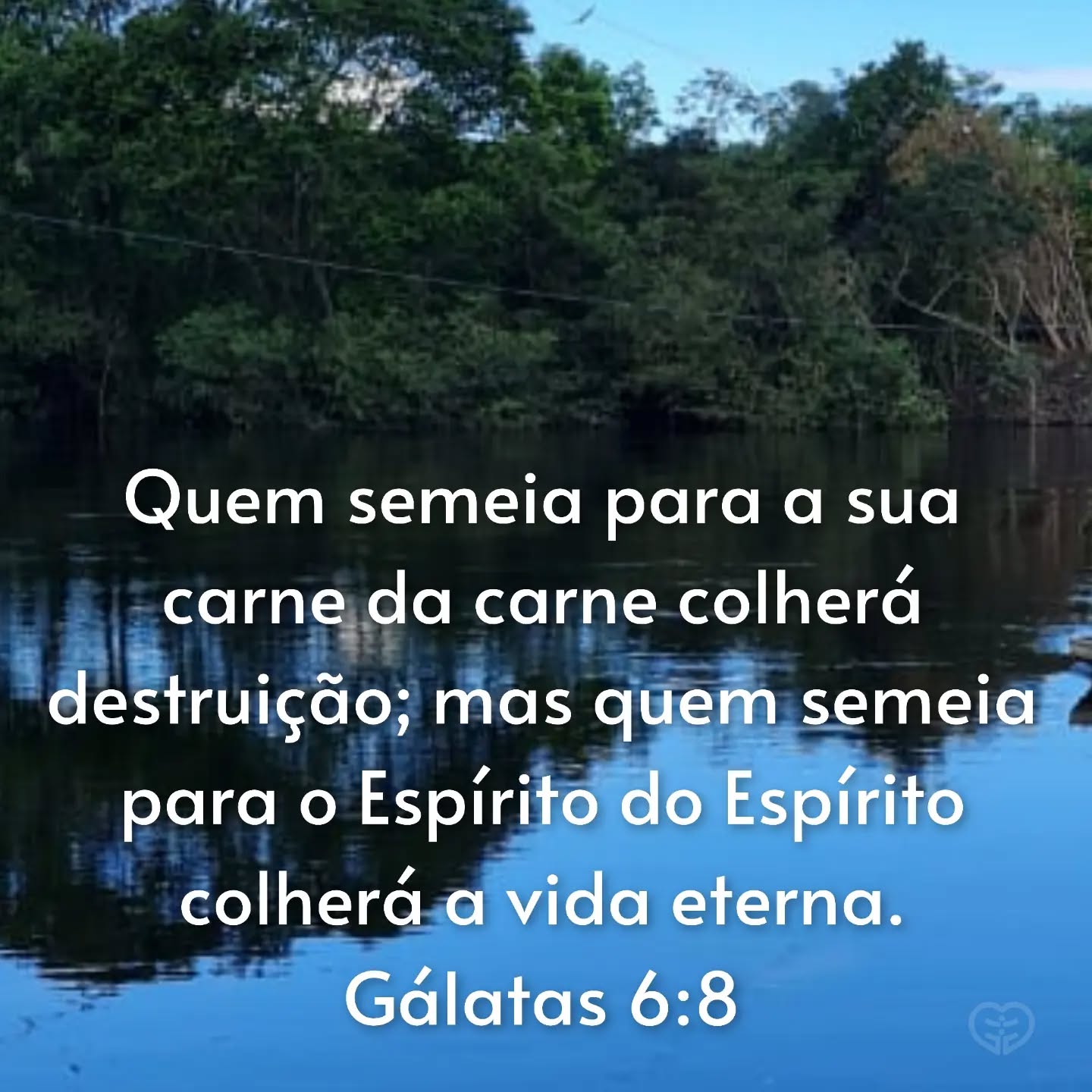 Gálatas 6:8