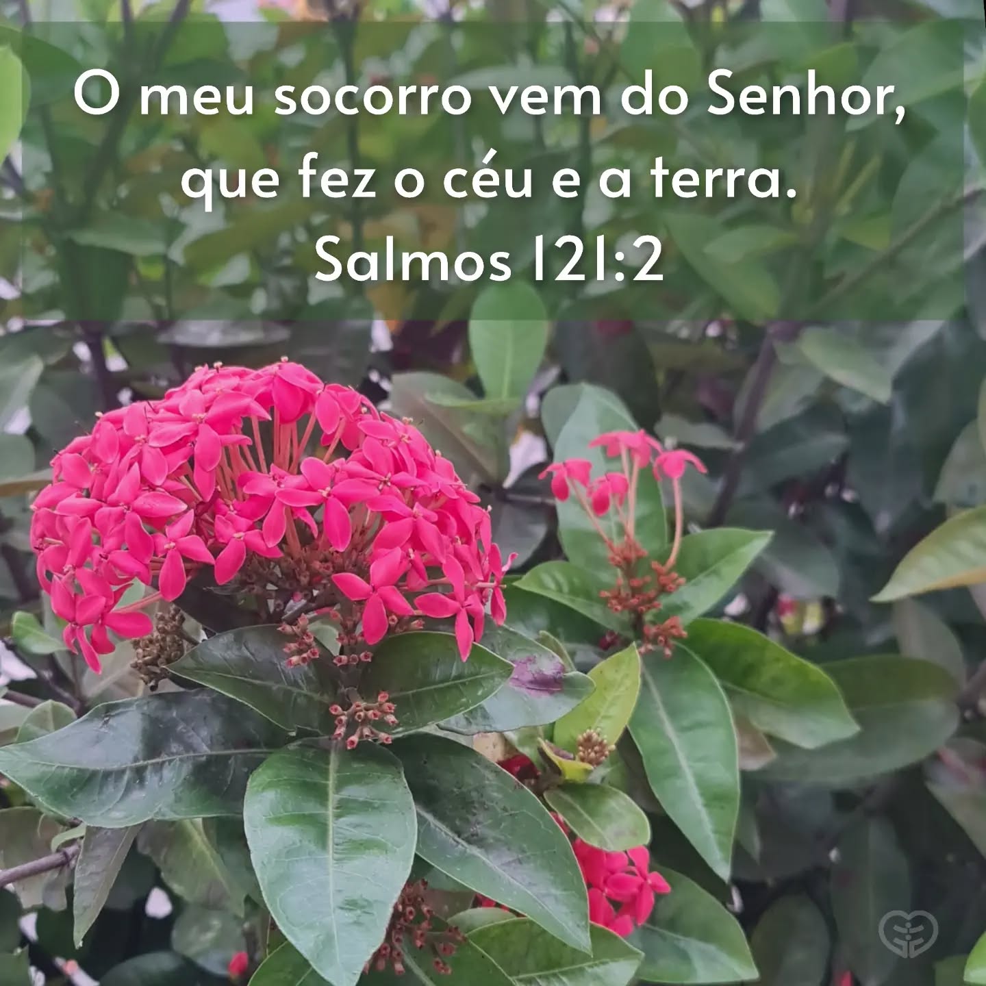 Salmos 121:2