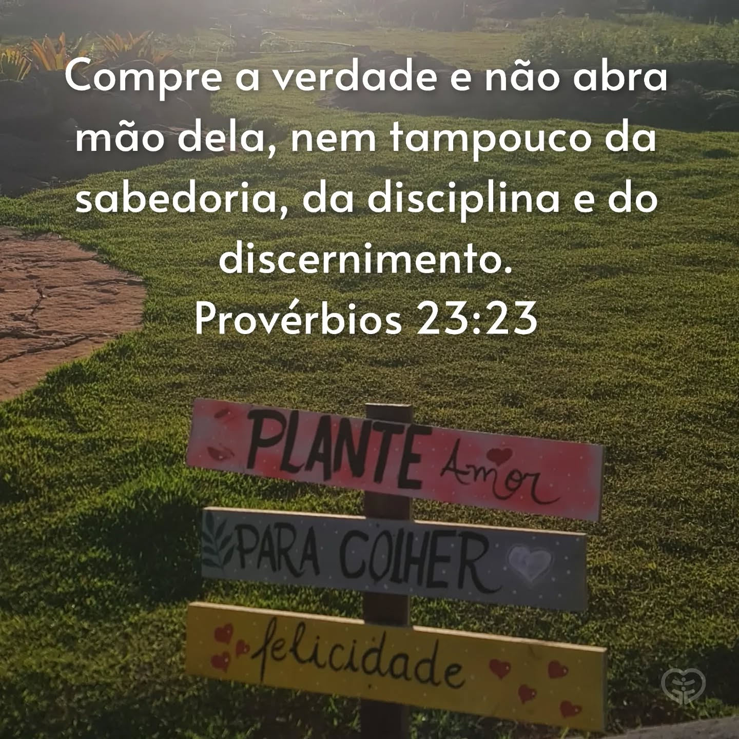Provérbios 23:23