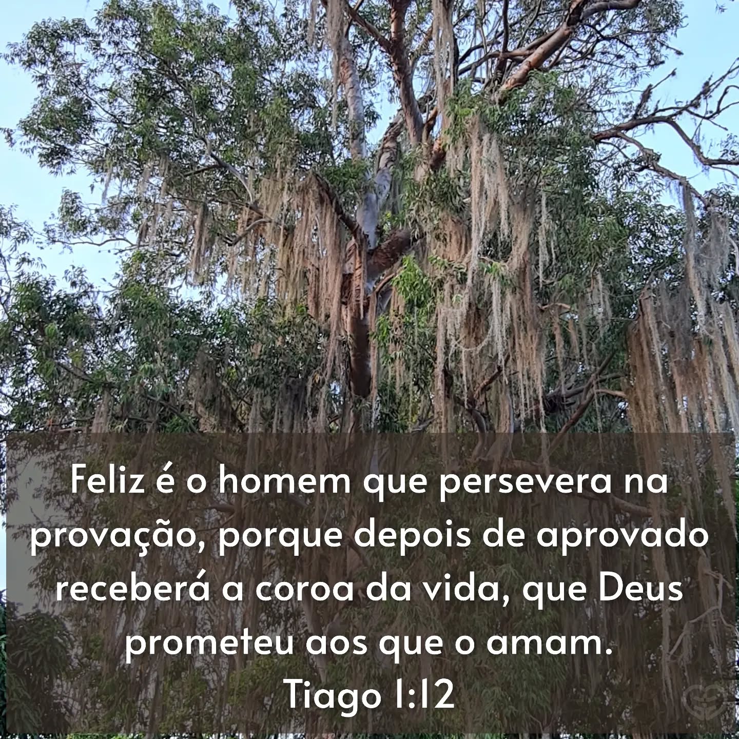 Tiago 1:12