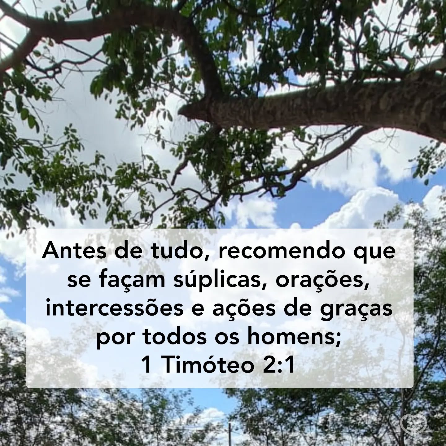 1 Timóteo 2:1