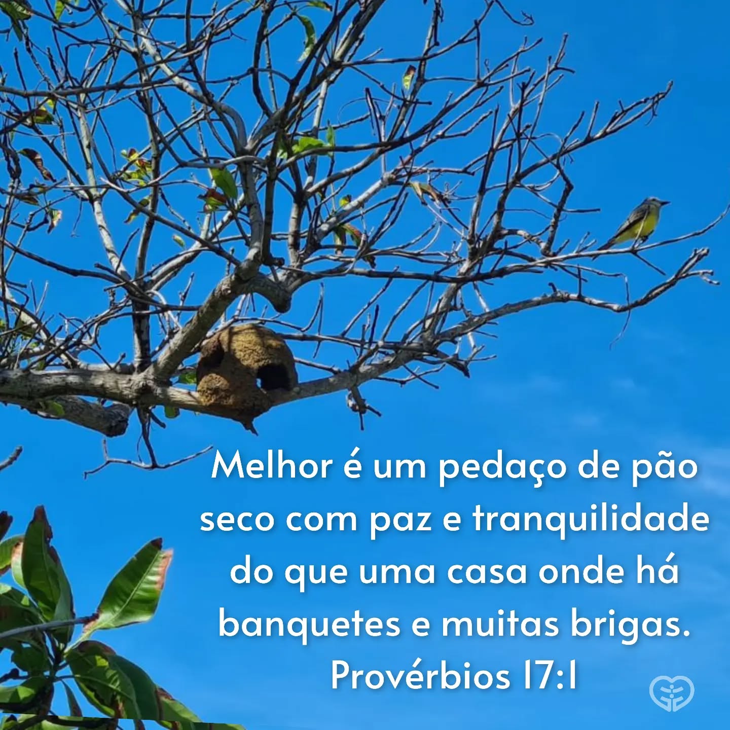 Provérbios 17:1