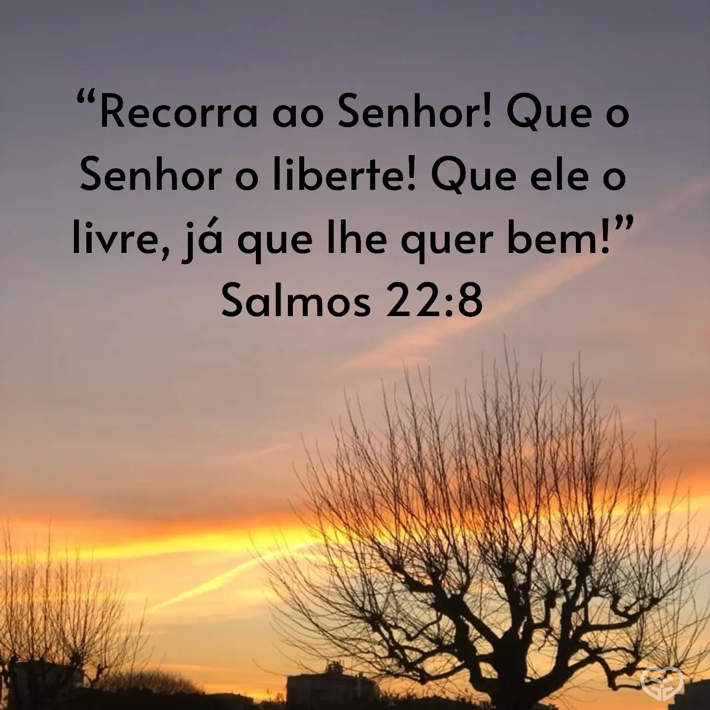 Salmos 22:8