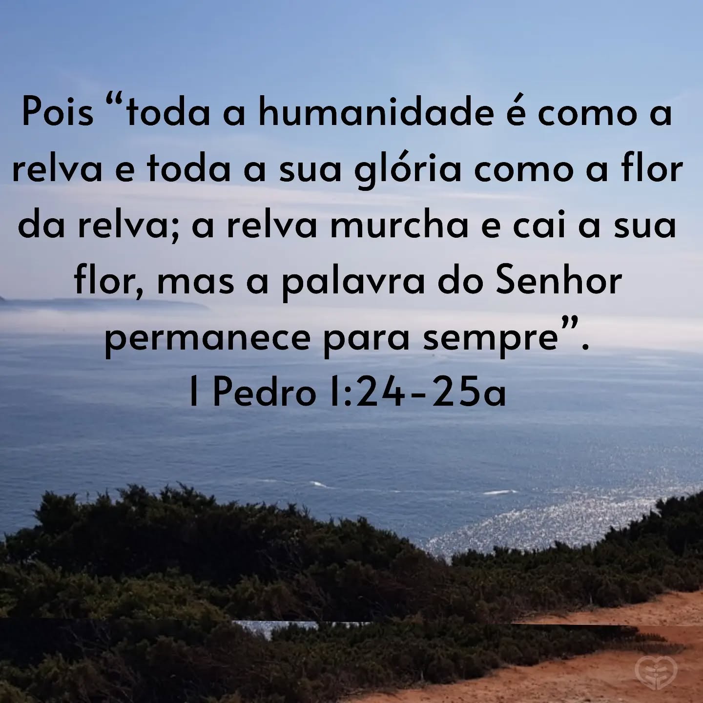 Palavra para 30 de maio de 2023