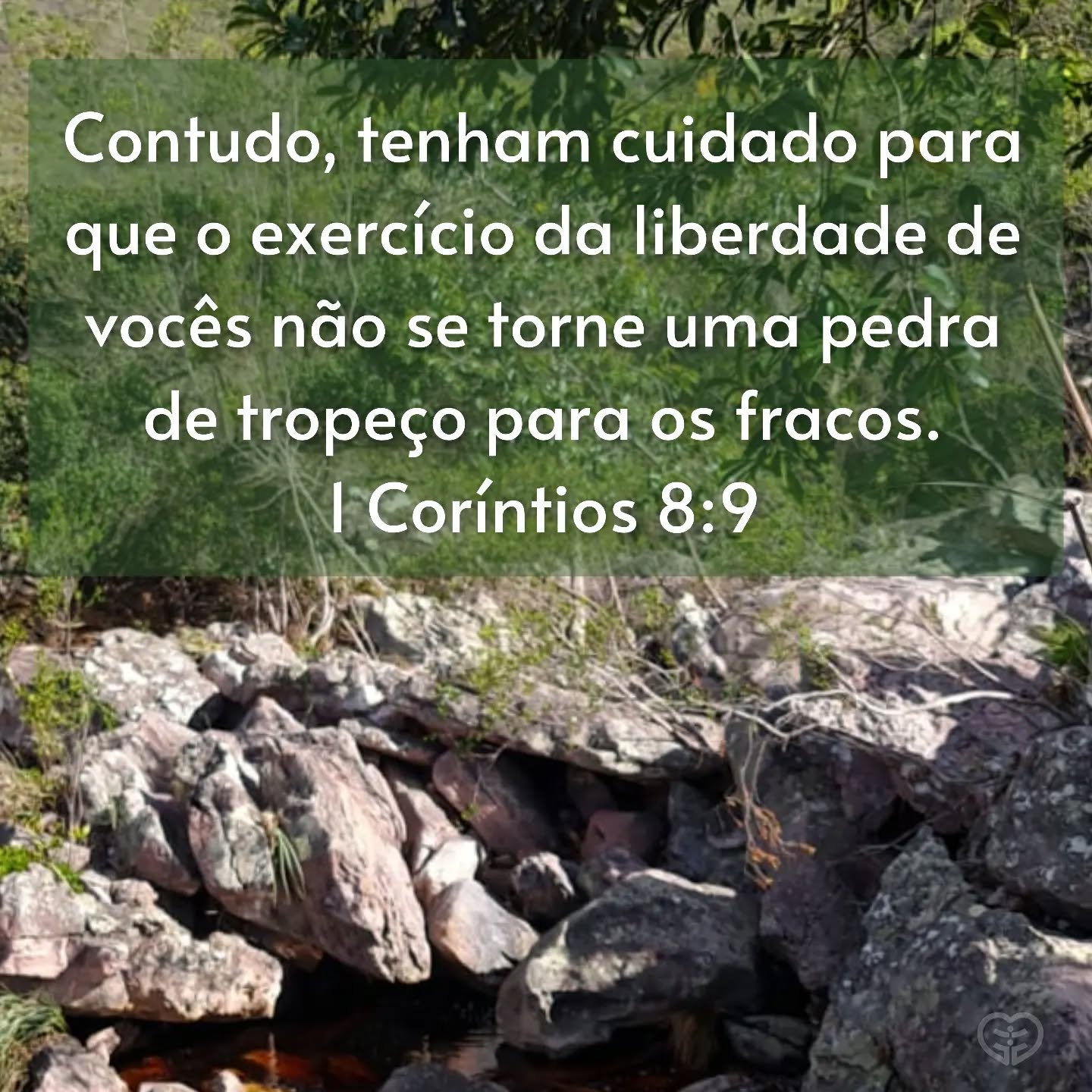 1 Coríntios 8:9