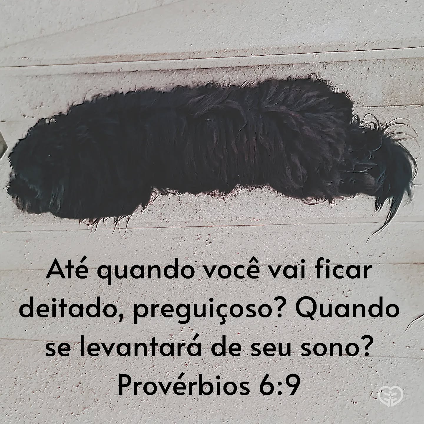 Provérbios 6:9
