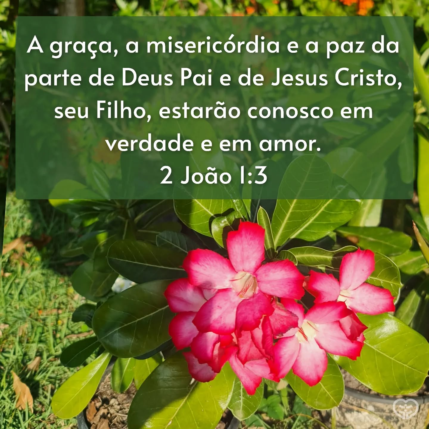 2 João 1:3