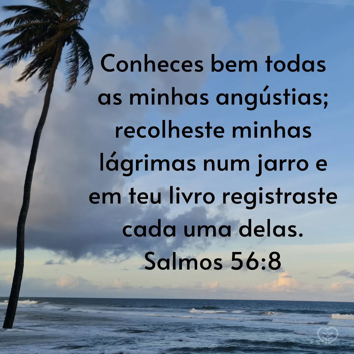 Salmos 56:8