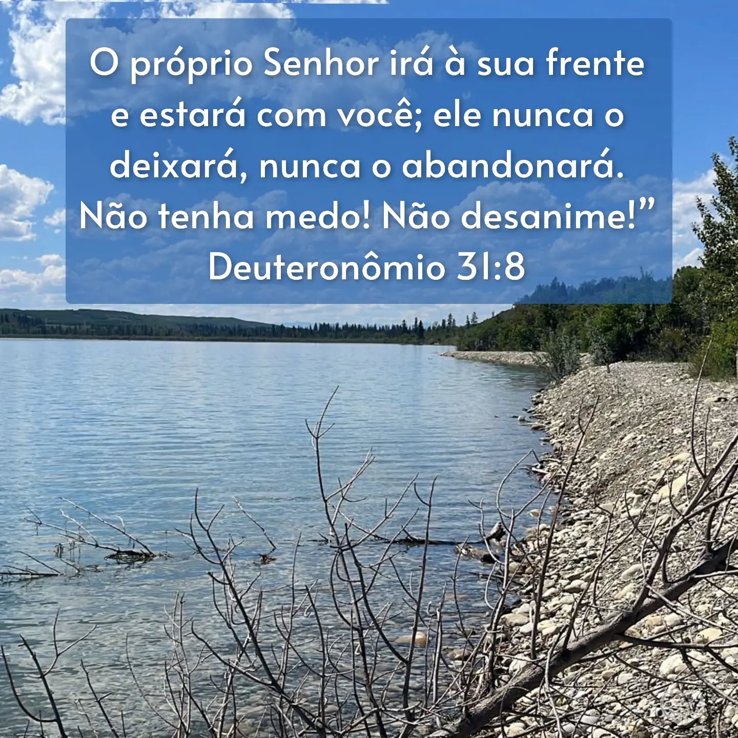 Deuteronômio 31:8