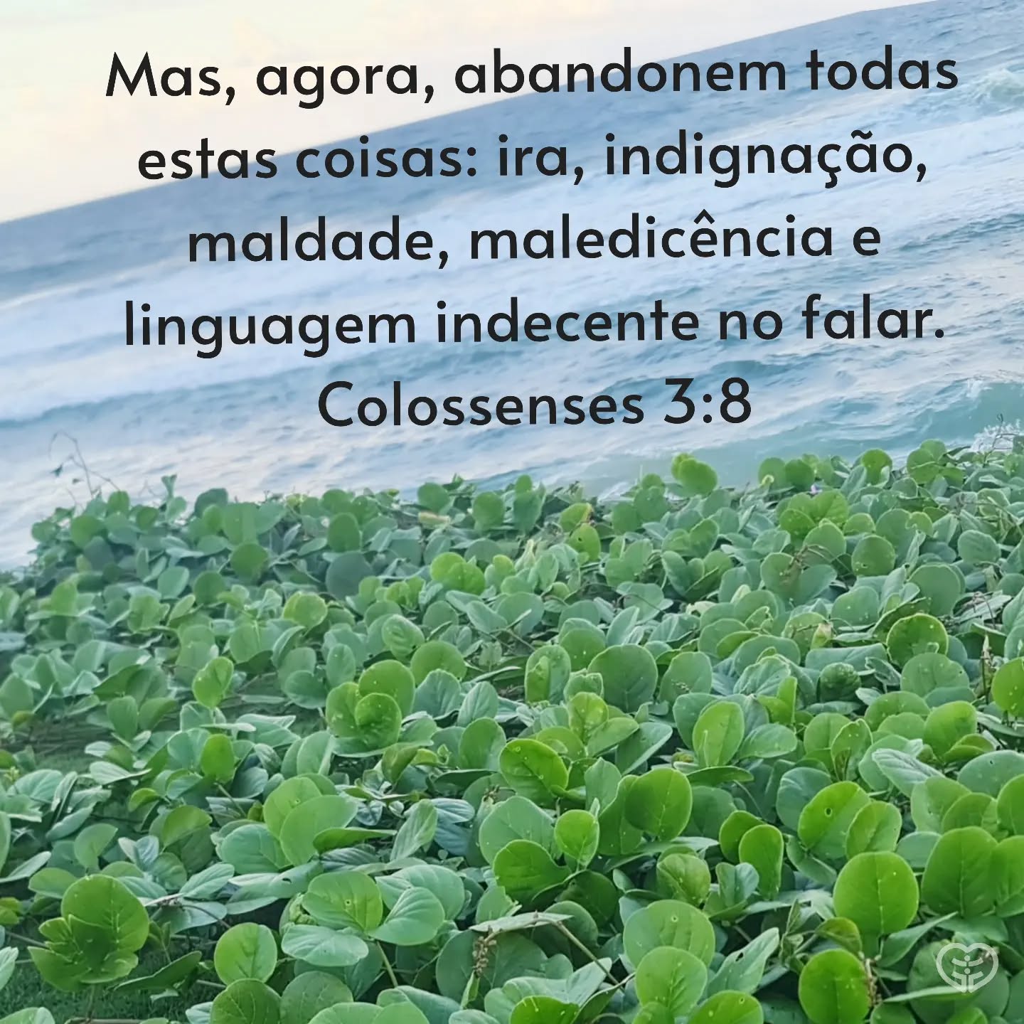 Colossenses 3:8
